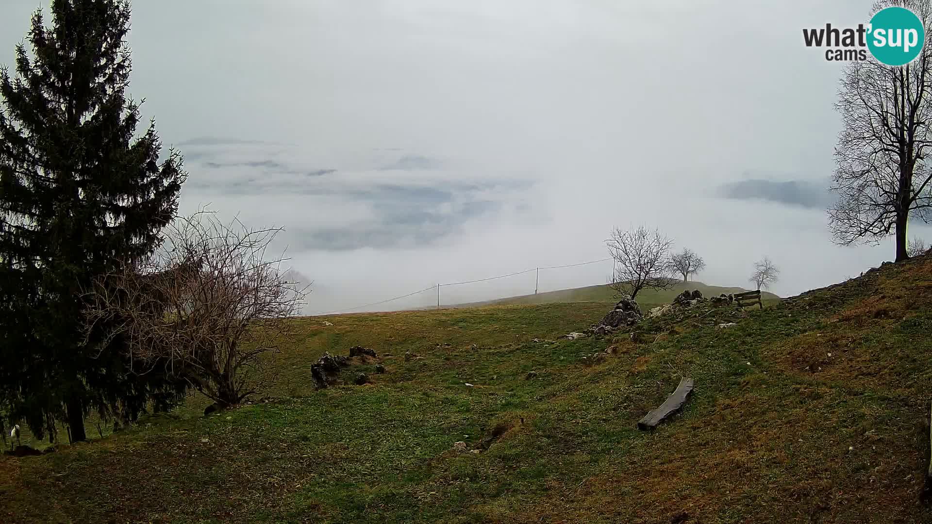 Slajka webam | Gorenja vas | Slovenia