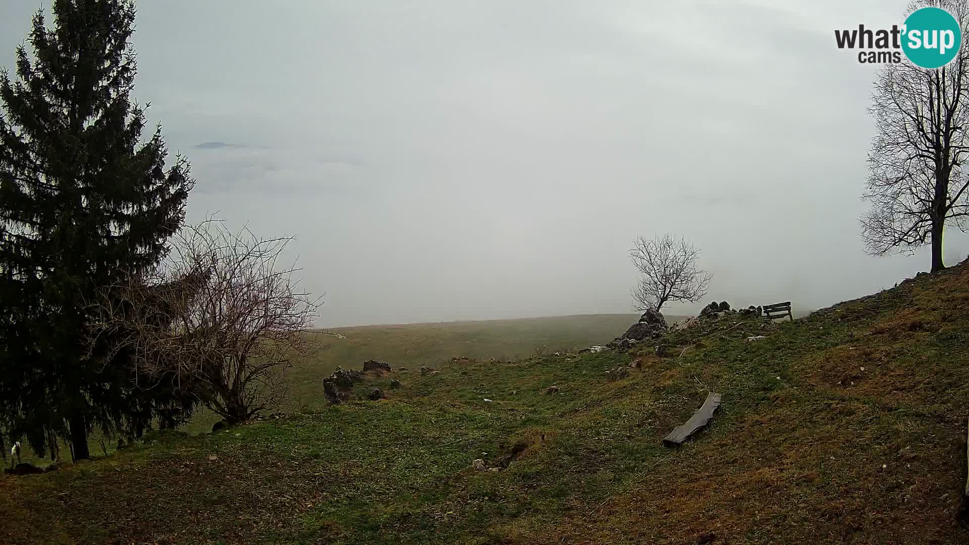 Slajka livecam | Gorenja Vas | Slovénie