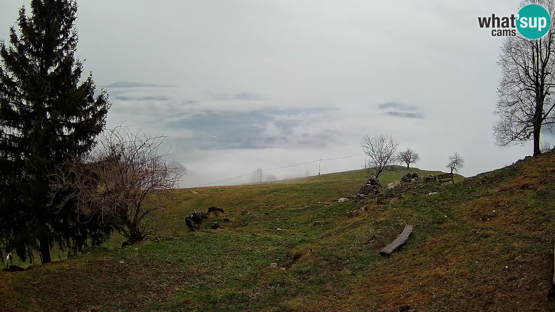 Slajka webam | Gorenja vas | Slovenia