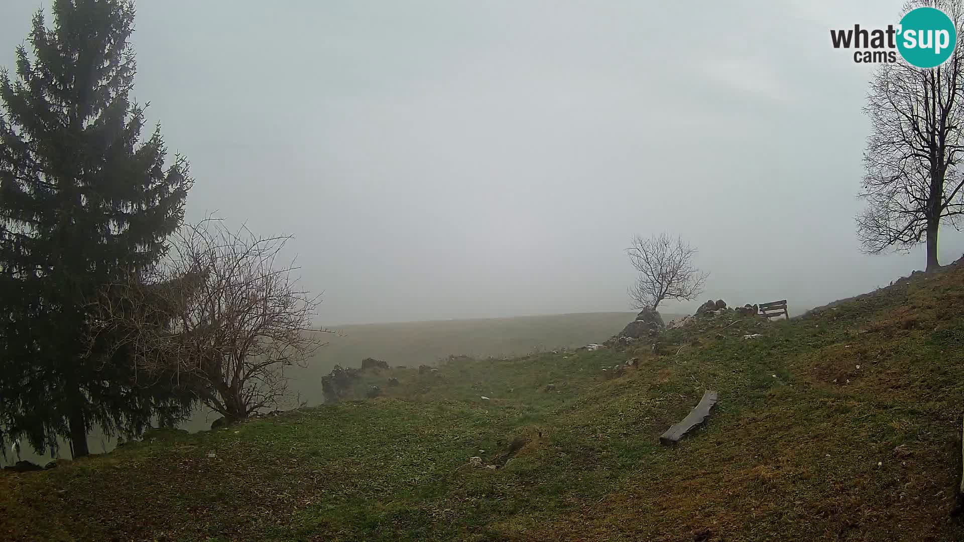 Slajka camera en vivo | Gorenja Vas | Eslovenia