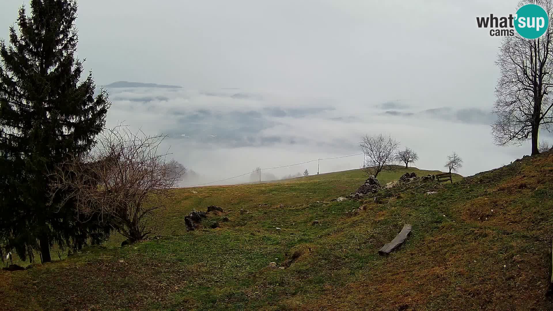 Slajka camera en vivo | Gorenja Vas | Eslovenia