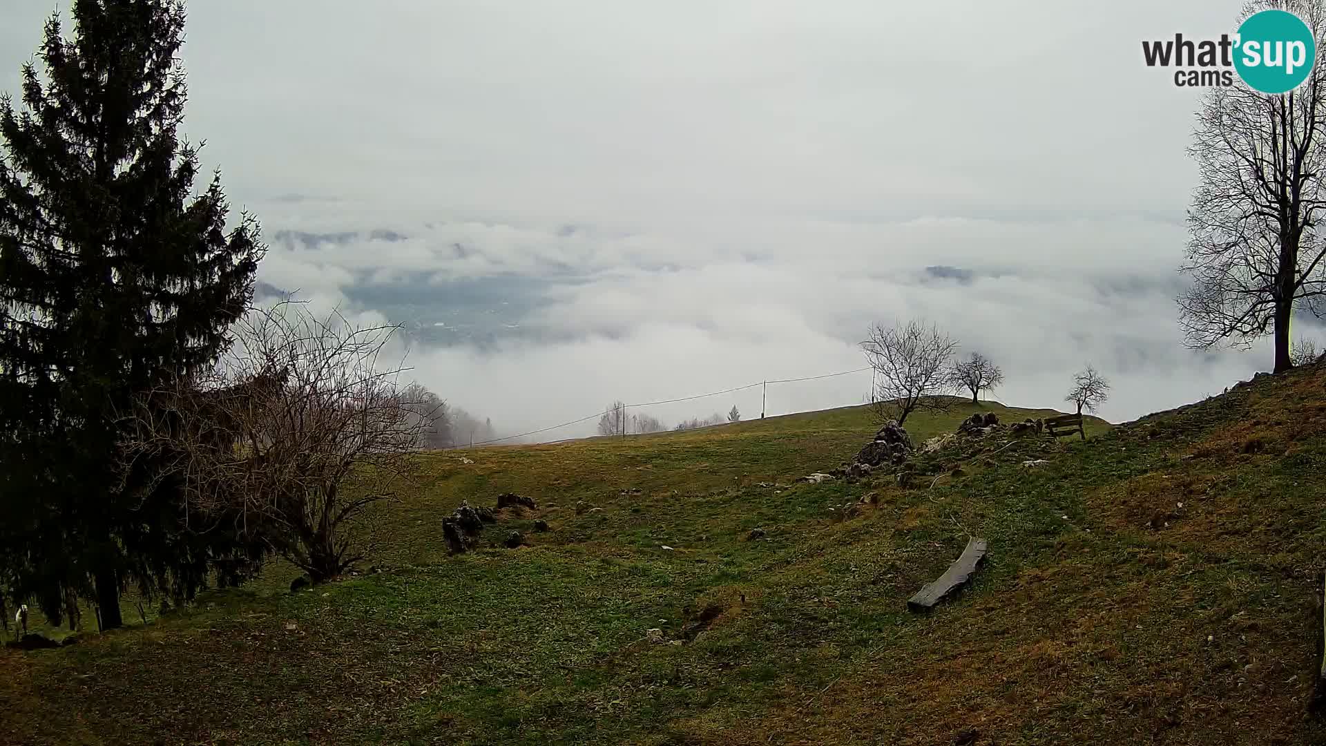 Slajka livecam | Gorenja Vas | Slovénie