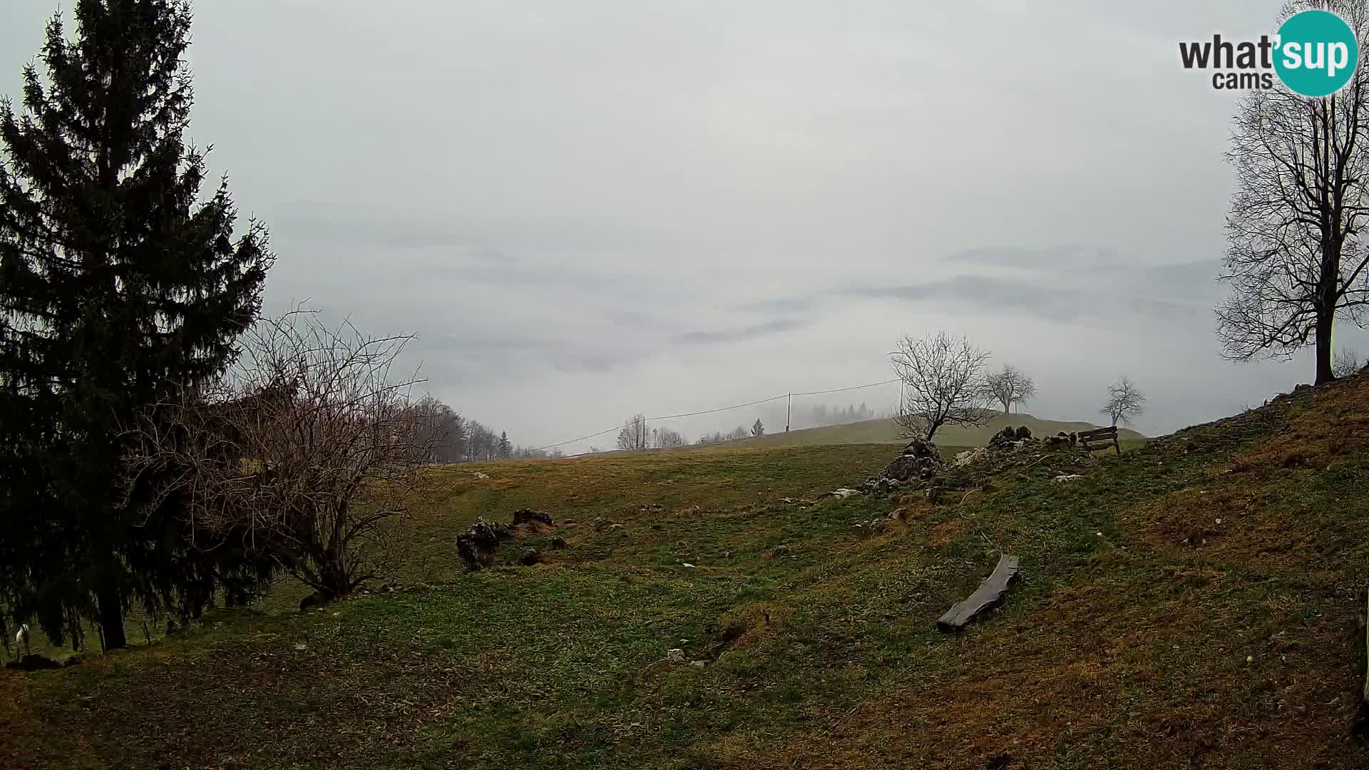 Slajka webam | Gorenja vas | Slovenia