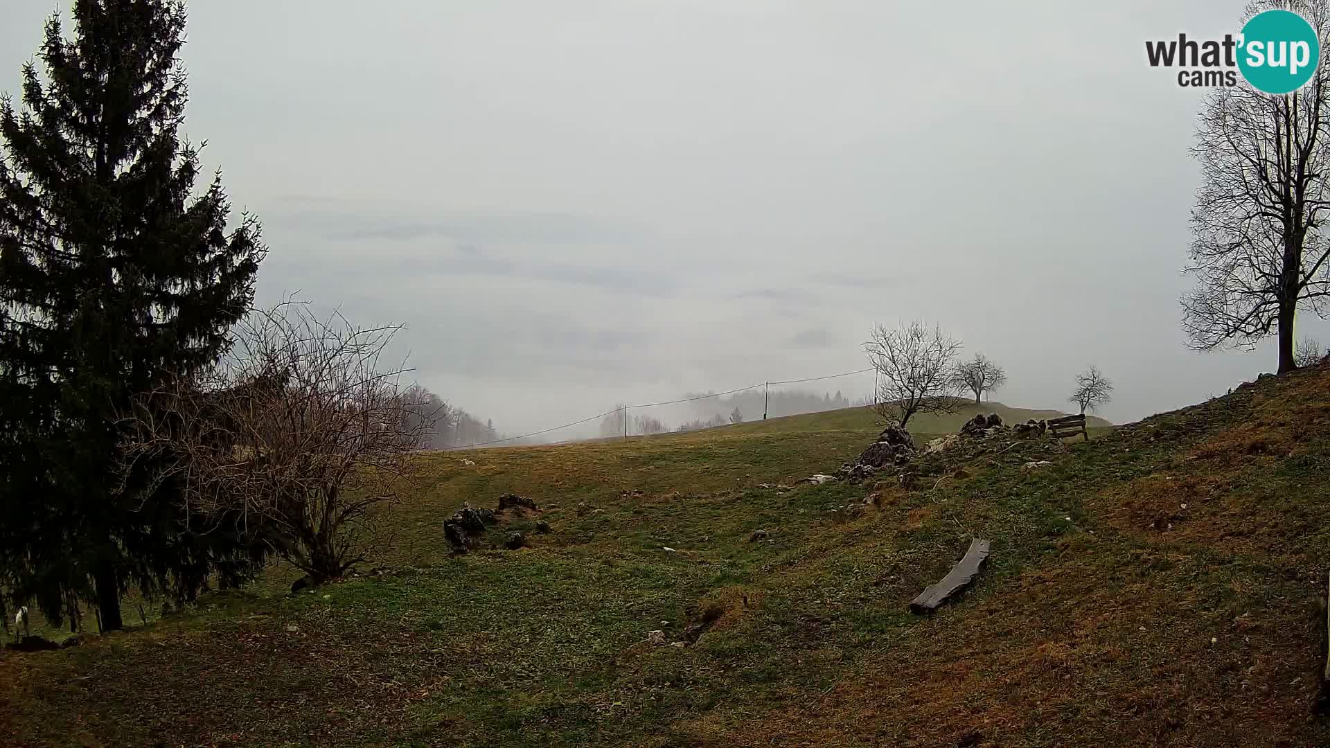 Slajka livecam | Gorenja Vas | Slovénie