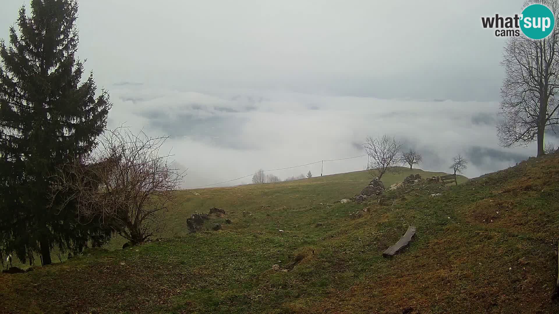 Slajka camera en vivo | Gorenja Vas | Eslovenia