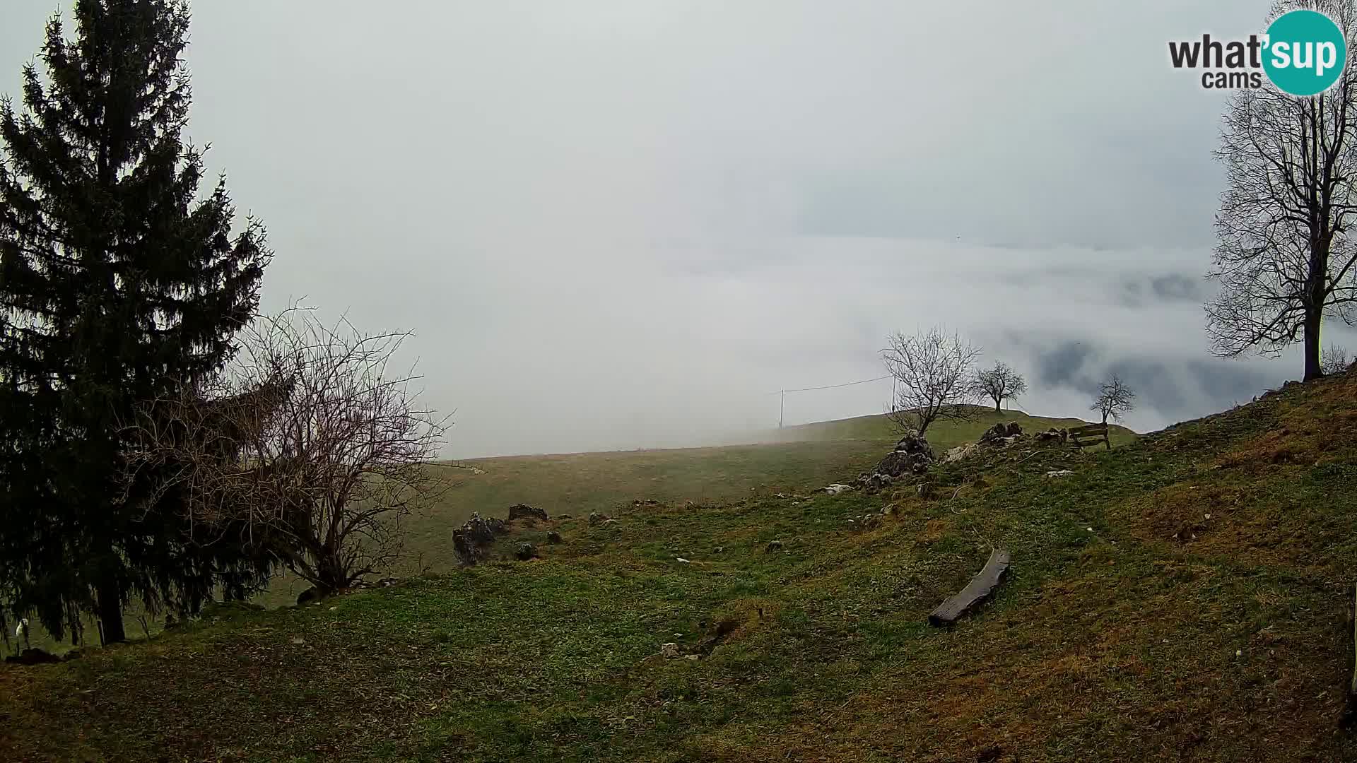 Slajka web kamera | Gorenja Vas | Slovenija