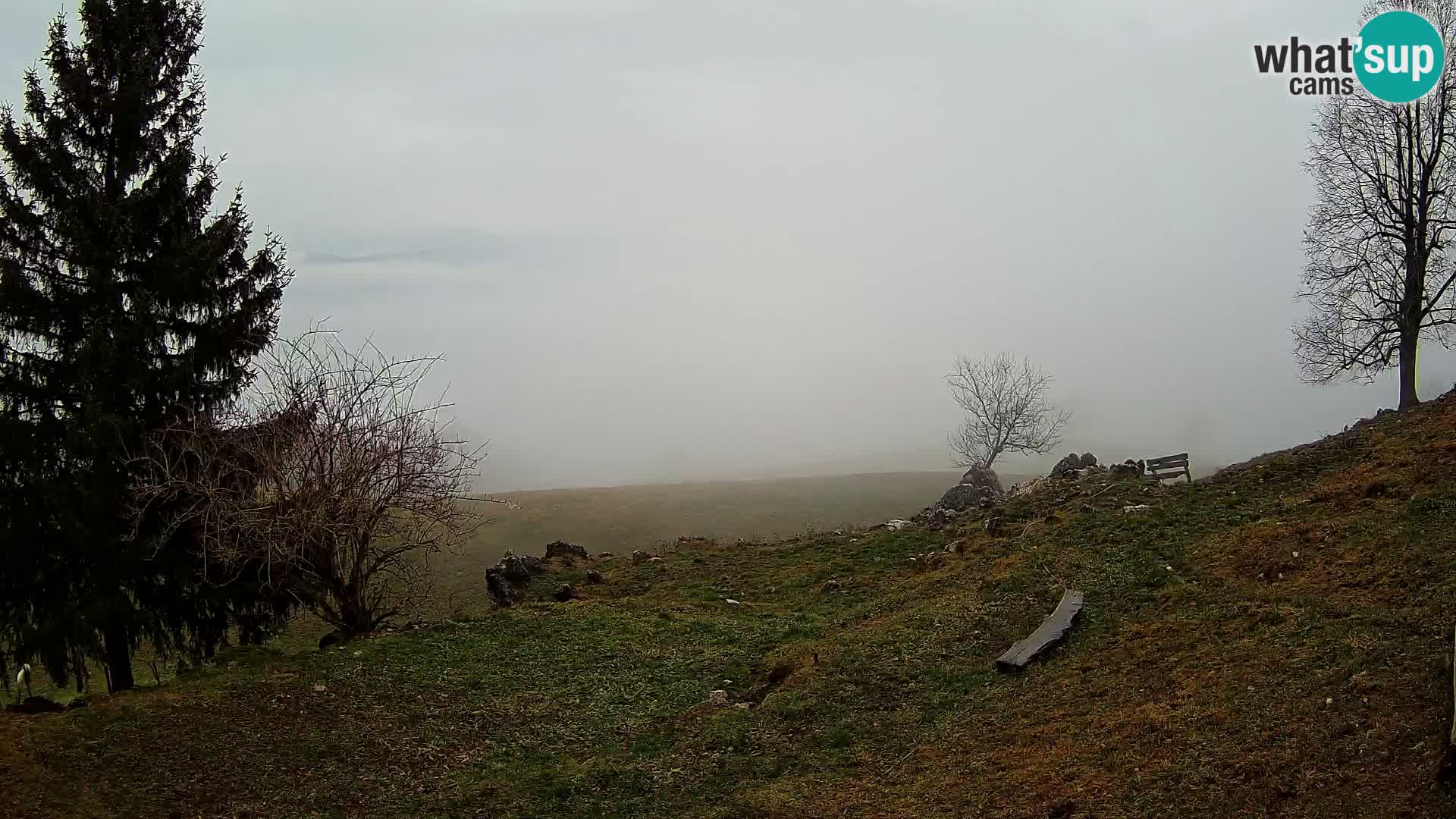 Slajka livecam | Gorenja Vas | Slovénie