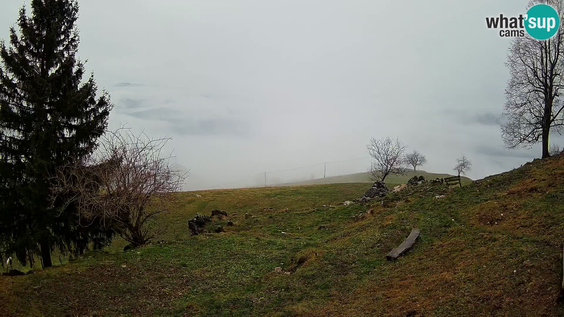 Slajka camera en vivo | Gorenja Vas | Eslovenia