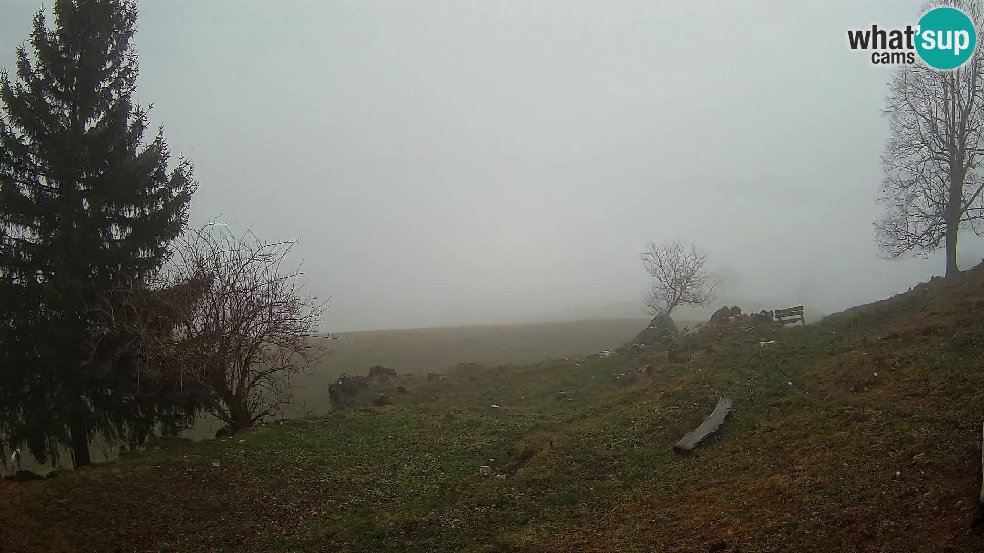 Slajka camera en vivo | Gorenja Vas | Eslovenia