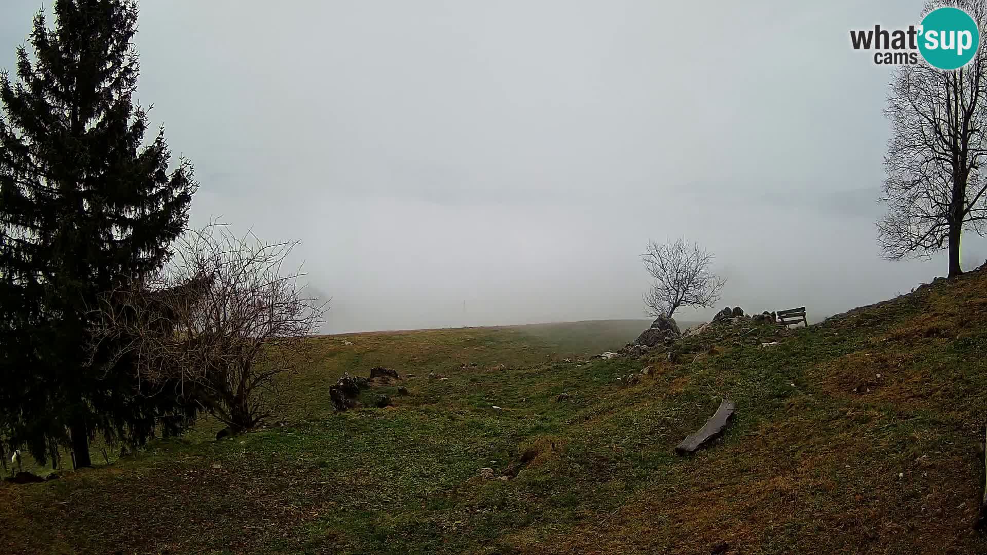 Slajka livecam | Gorenja Vas | Slovénie