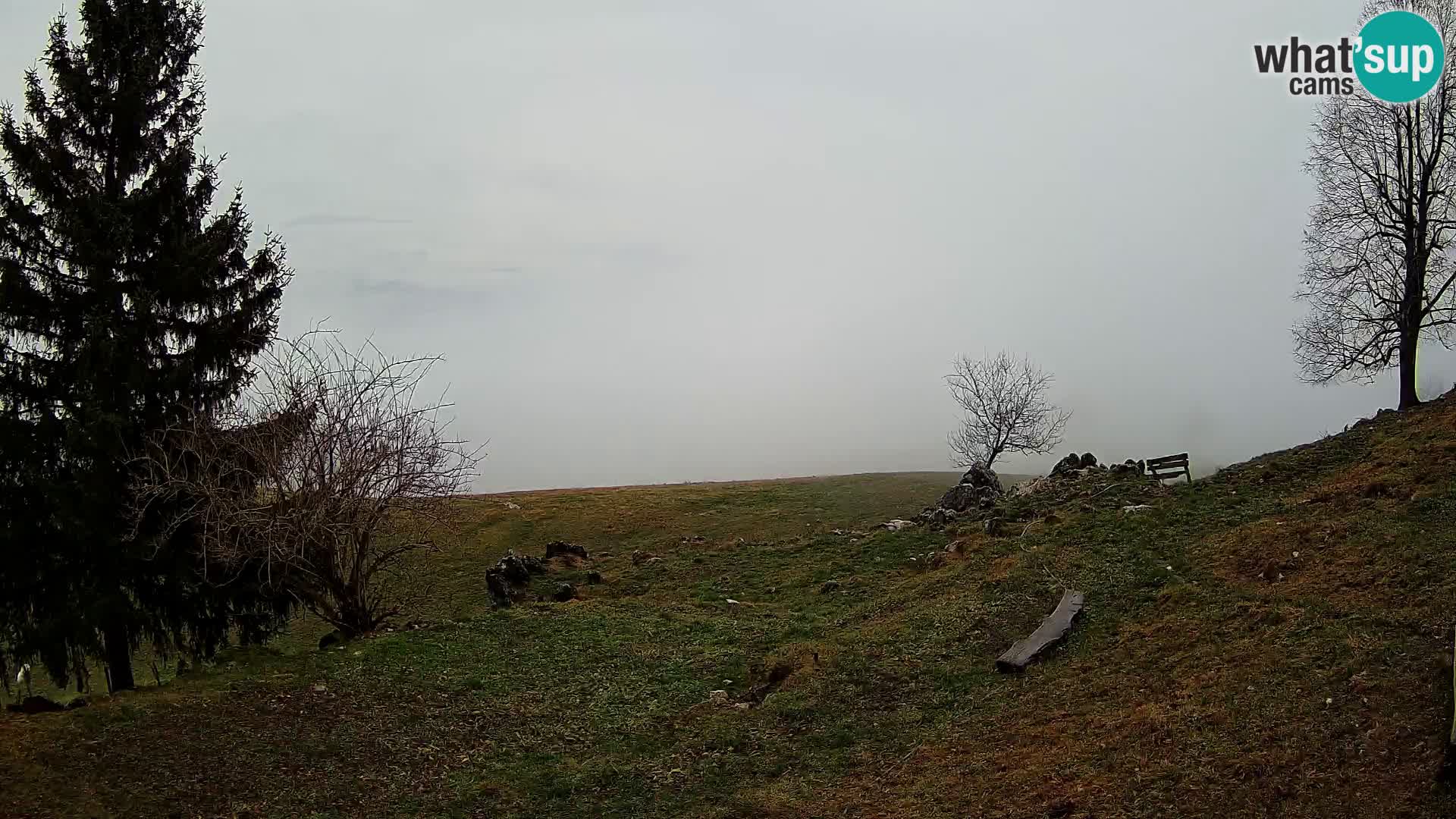 Slajka livecam | Gorenja Vas | Slovénie