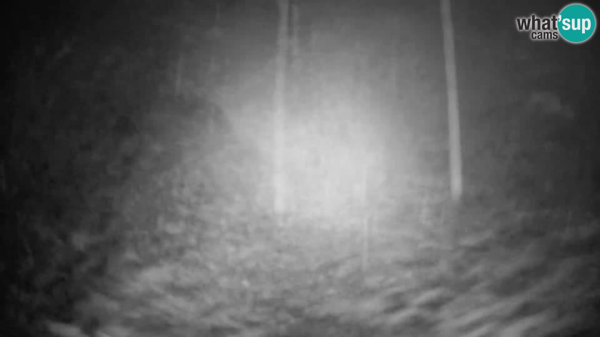 Slajka camera en vivo | Gorenja Vas | Eslovenia