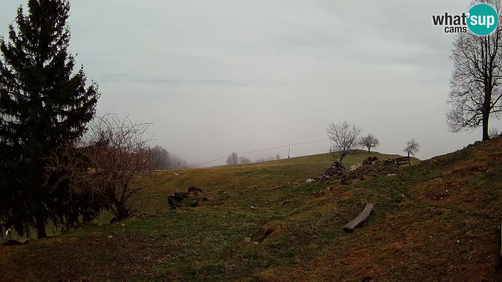 Slajka livecam | Gorenja Vas | Slovénie