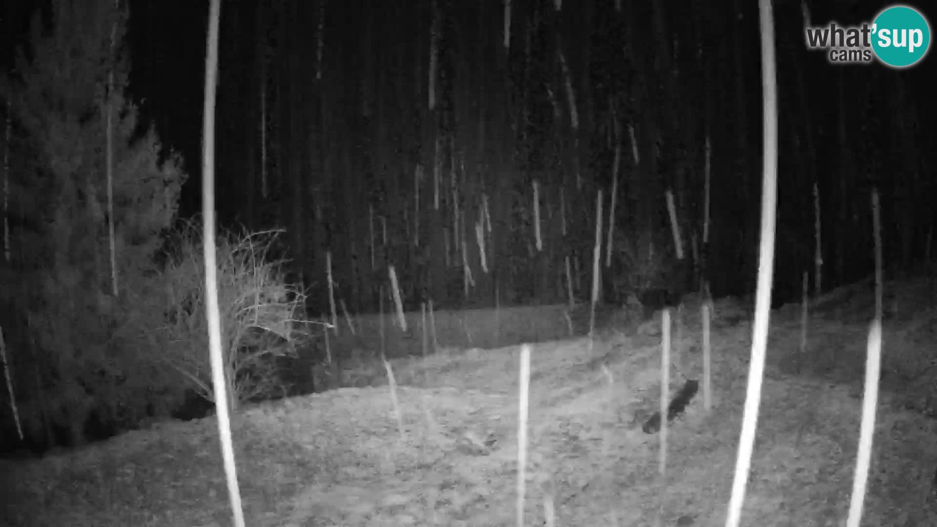 Slajka web kamera | Gorenja Vas | Slovenija