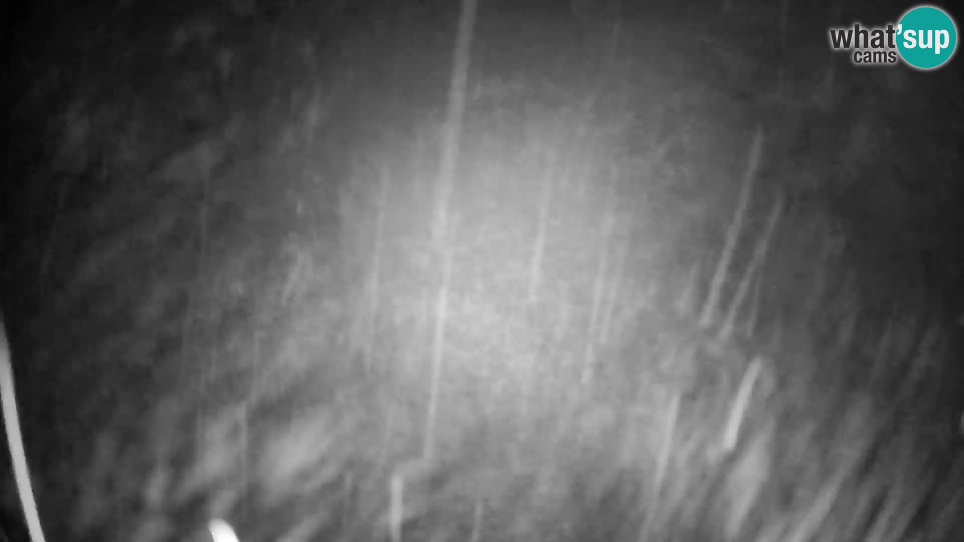 Slajka camera en vivo | Gorenja Vas | Eslovenia