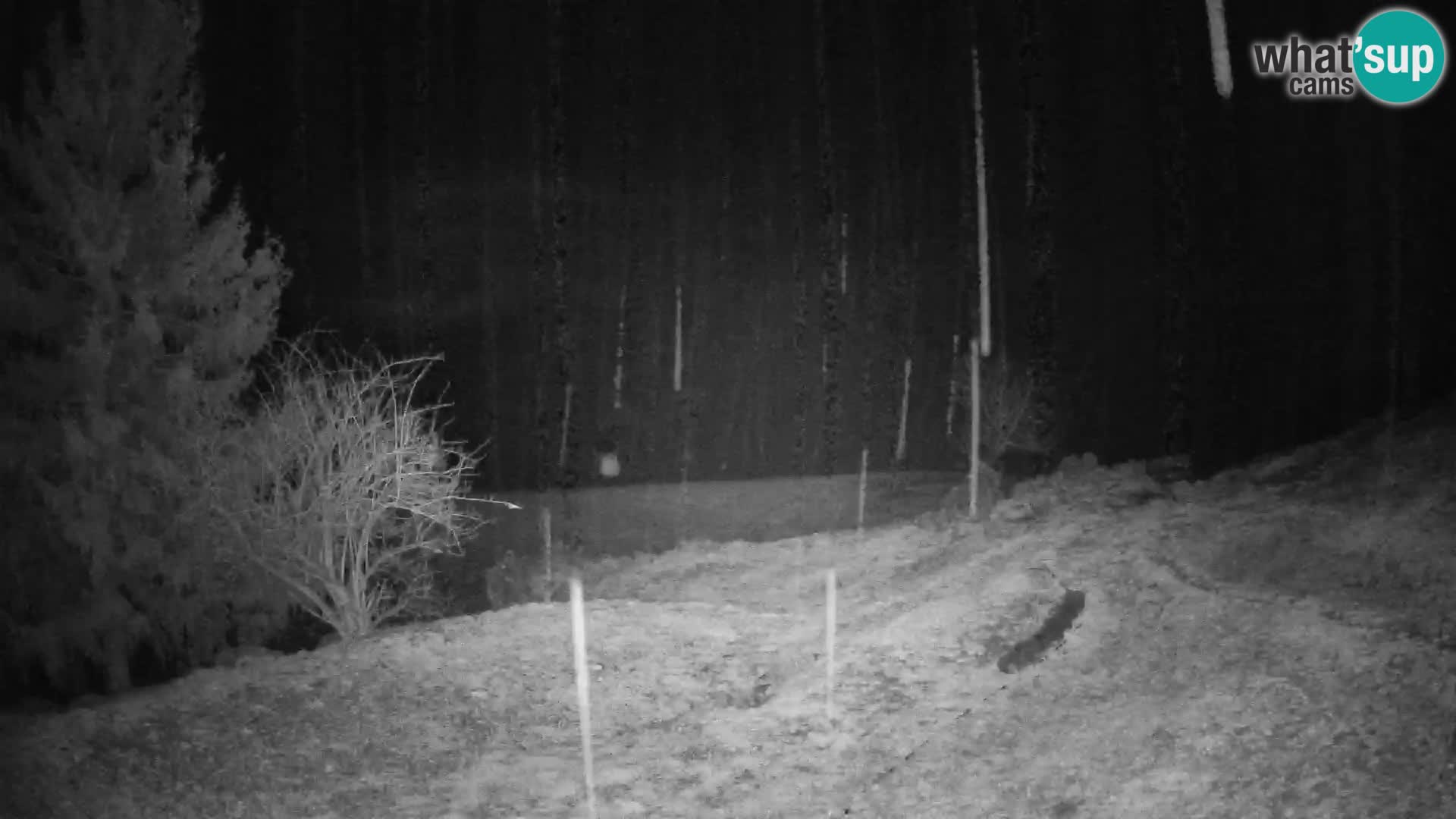 Spletna kamera Slajka | Gorenja vas