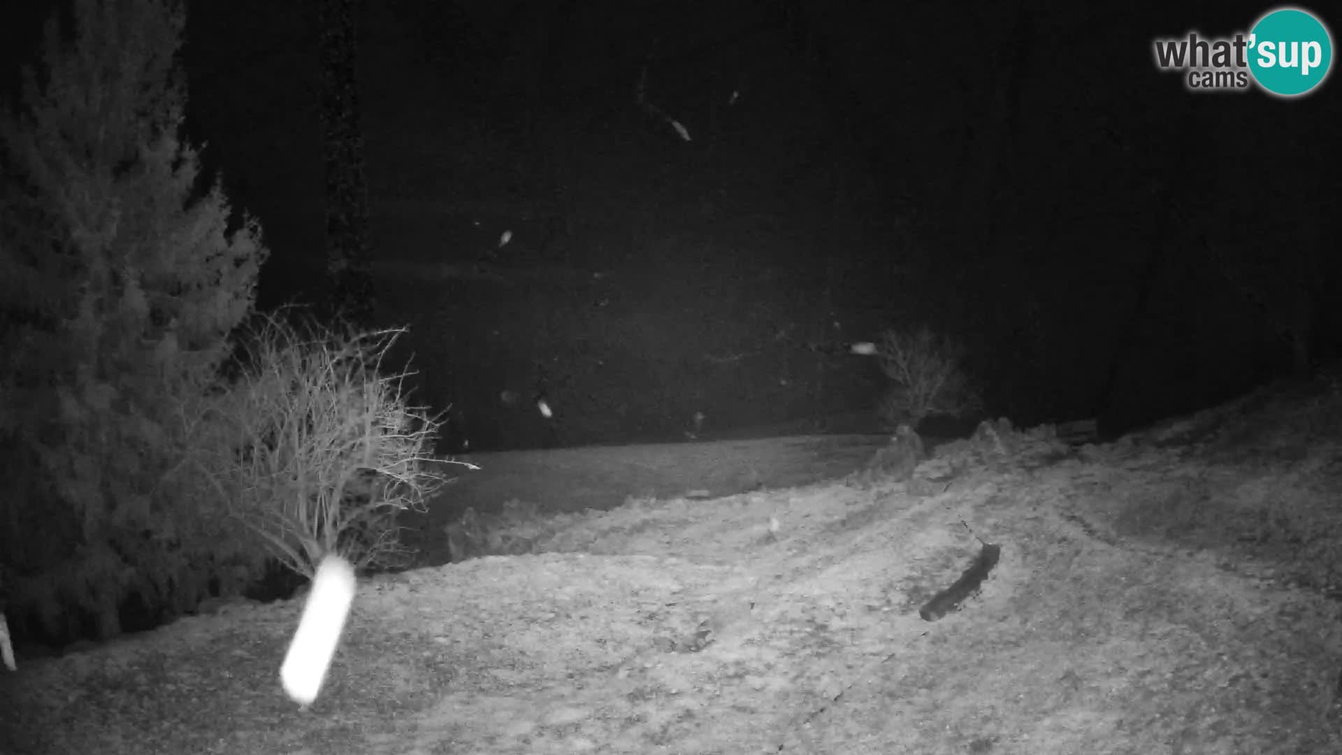 Webcam Slajka | Gorenja vas | Slovenia