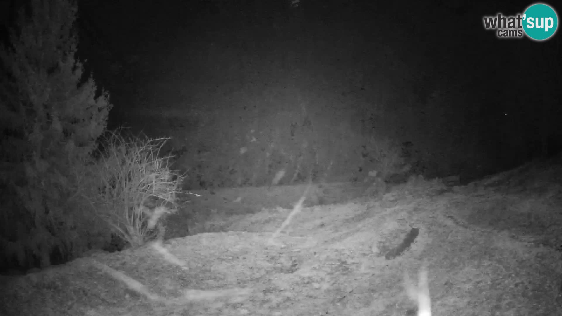 Slajka livecam | Gorenja Vas | Slovénie