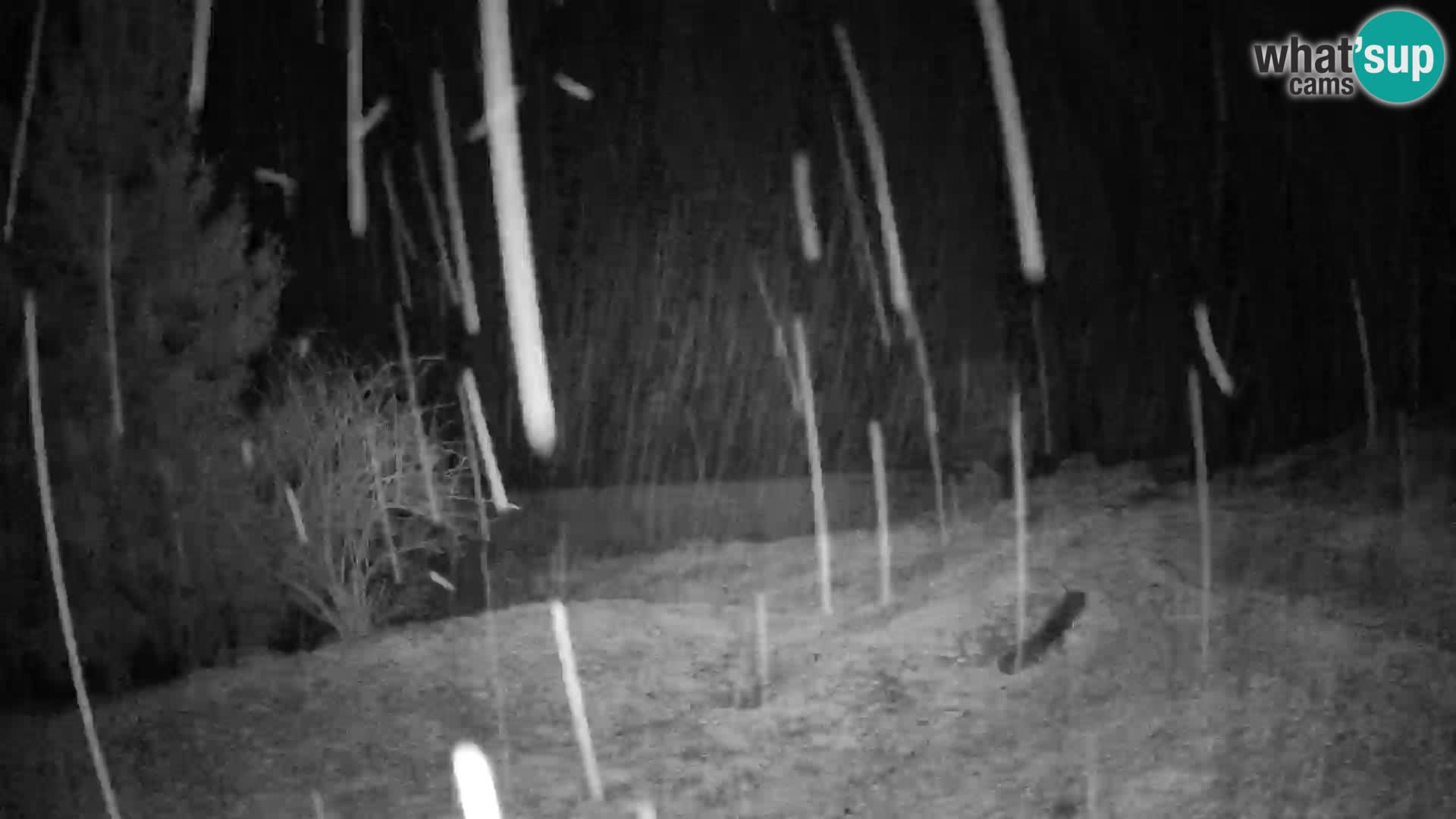 Slajka livecam | Gorenja Vas | Slovénie