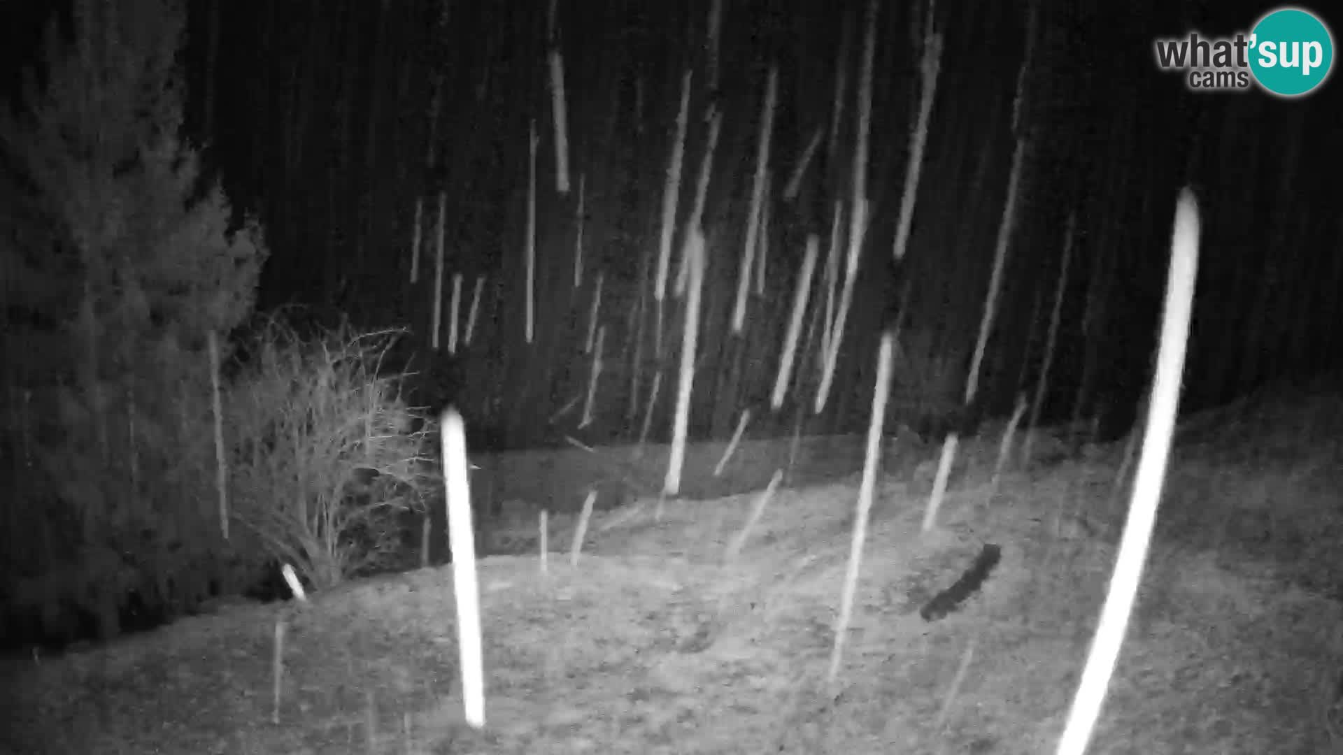 Spletna kamera Slajka | Gorenja vas