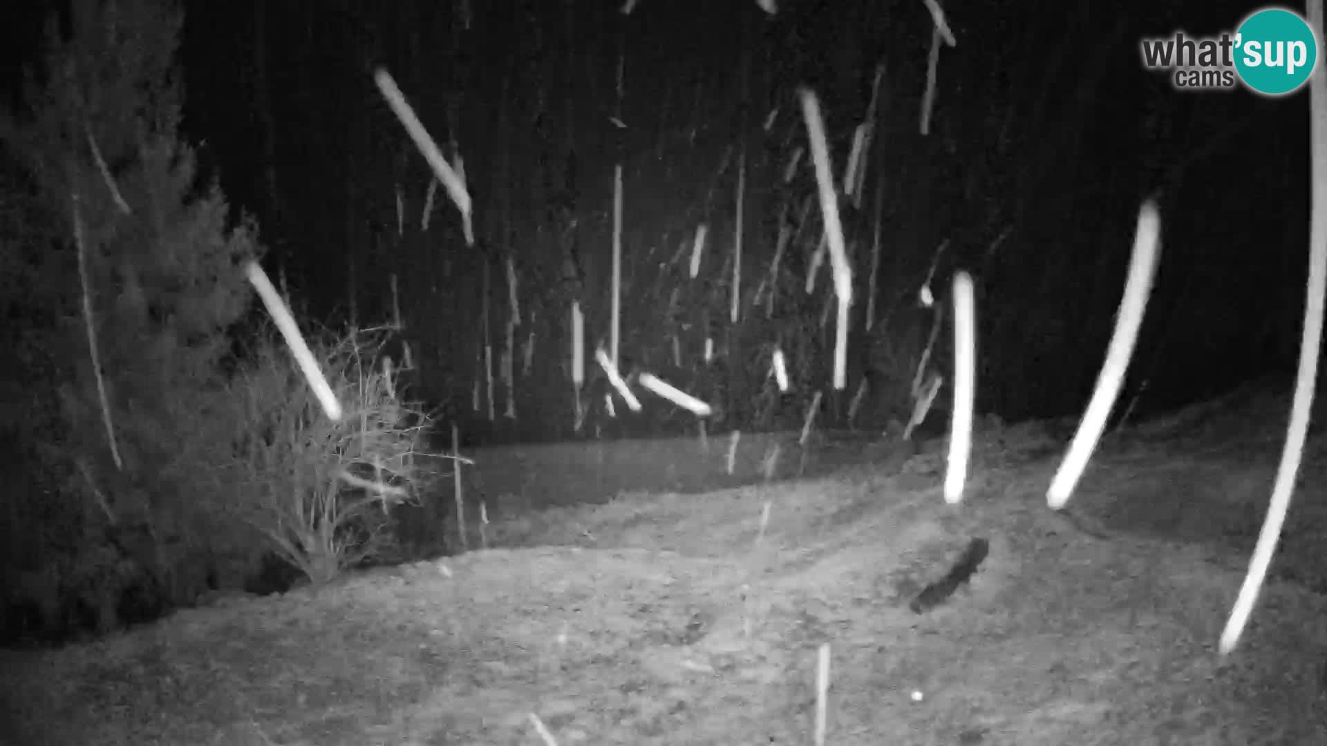 Slajka camera en vivo | Gorenja Vas | Eslovenia