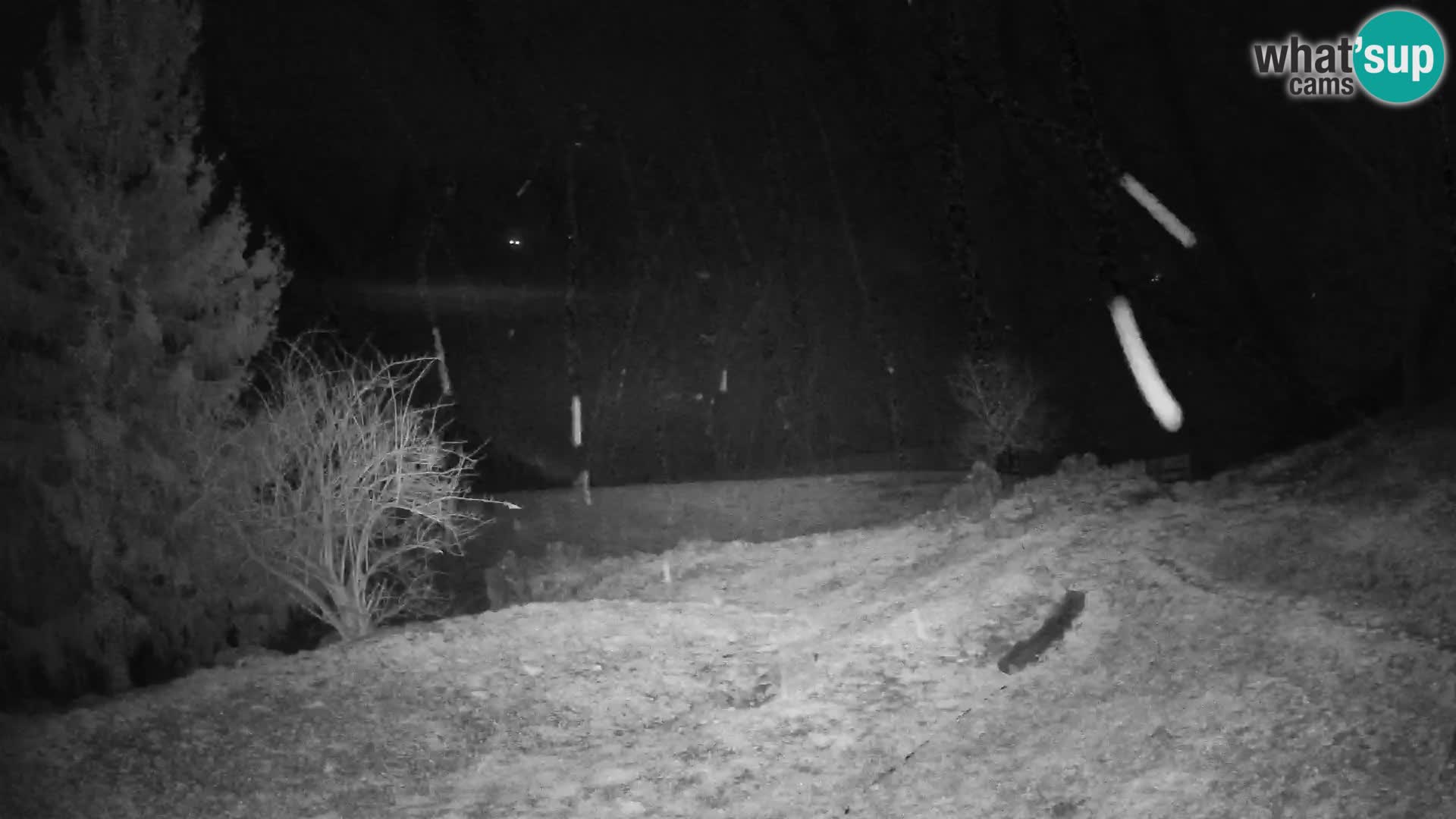 Slajka livecam | Gorenja Vas | Slovénie