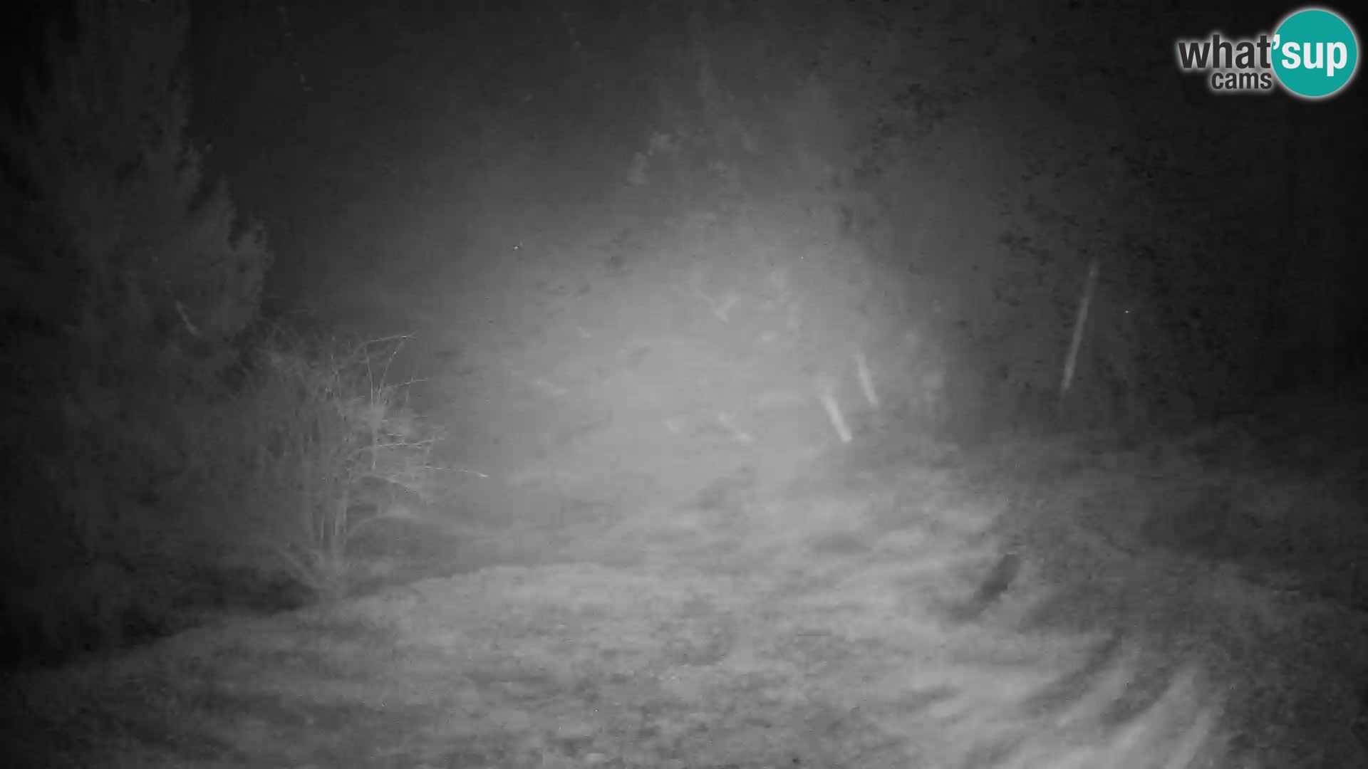 Slajka camera en vivo | Gorenja Vas | Eslovenia