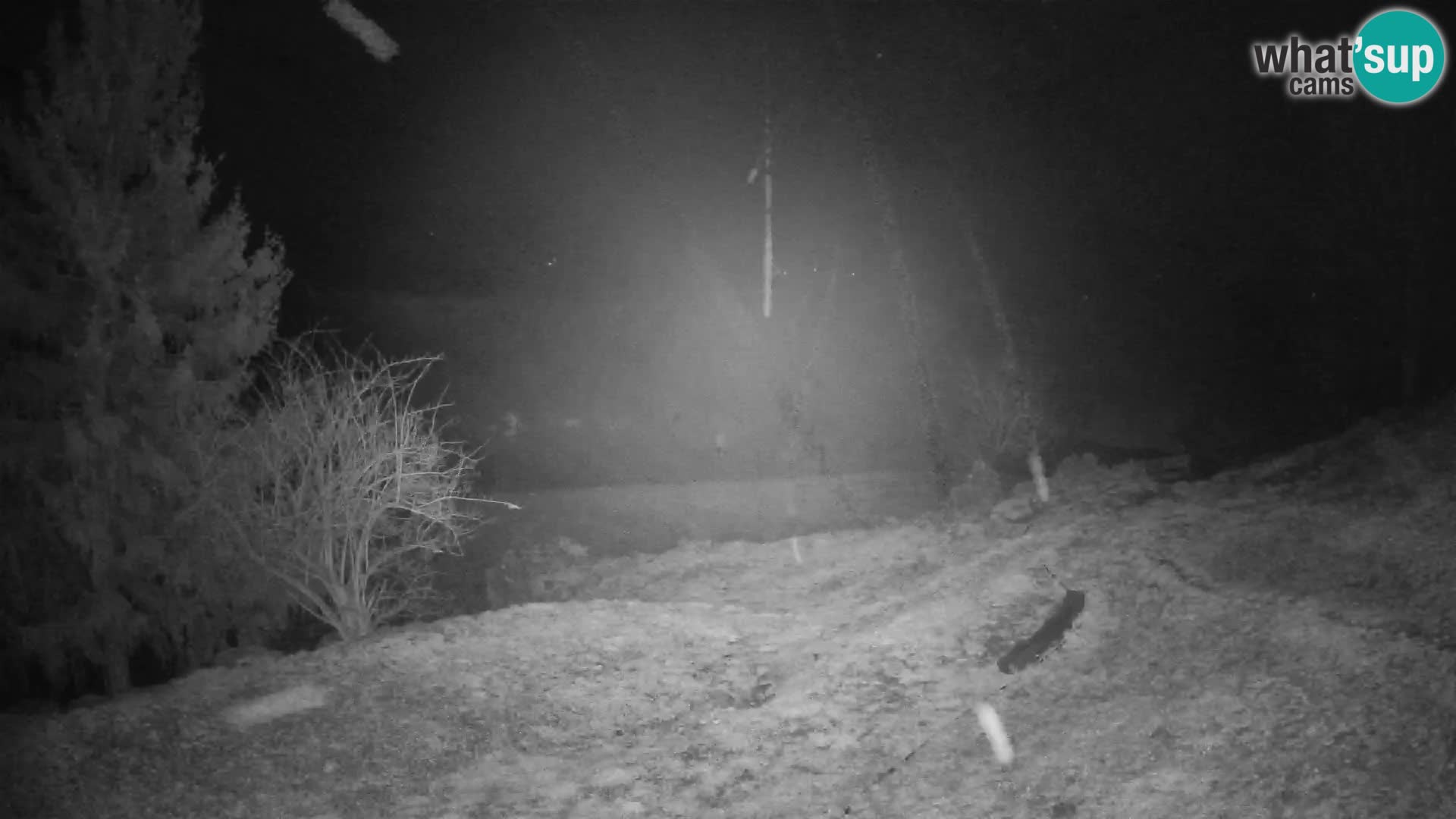 Slajka camera en vivo | Gorenja Vas | Eslovenia