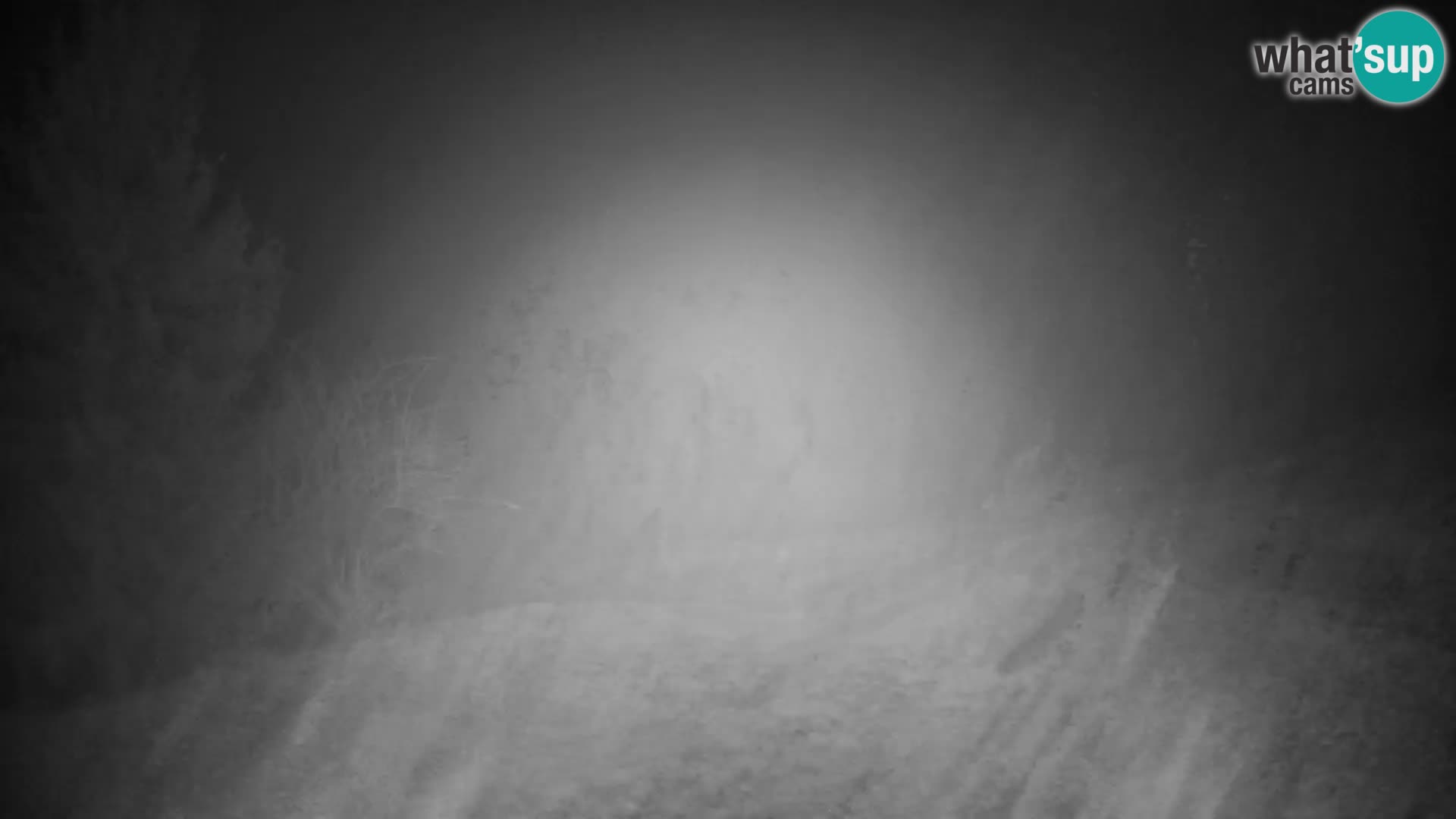 Slajka webcam | Gorenja Vas | Slowenien