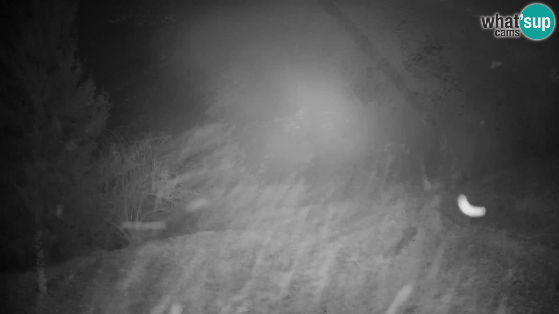 Slajka webcam | Gorenja Vas | Slowenien