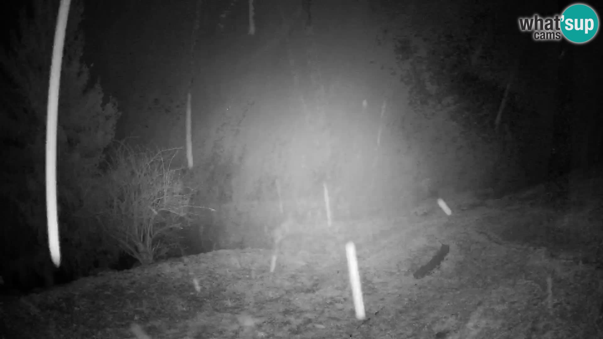 Slajka webcam | Gorenja Vas | Slowenien