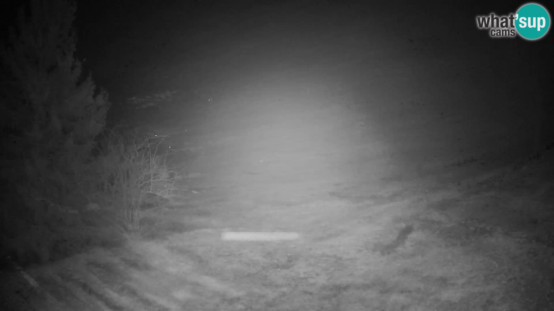 Slajka camera en vivo | Gorenja Vas | Eslovenia