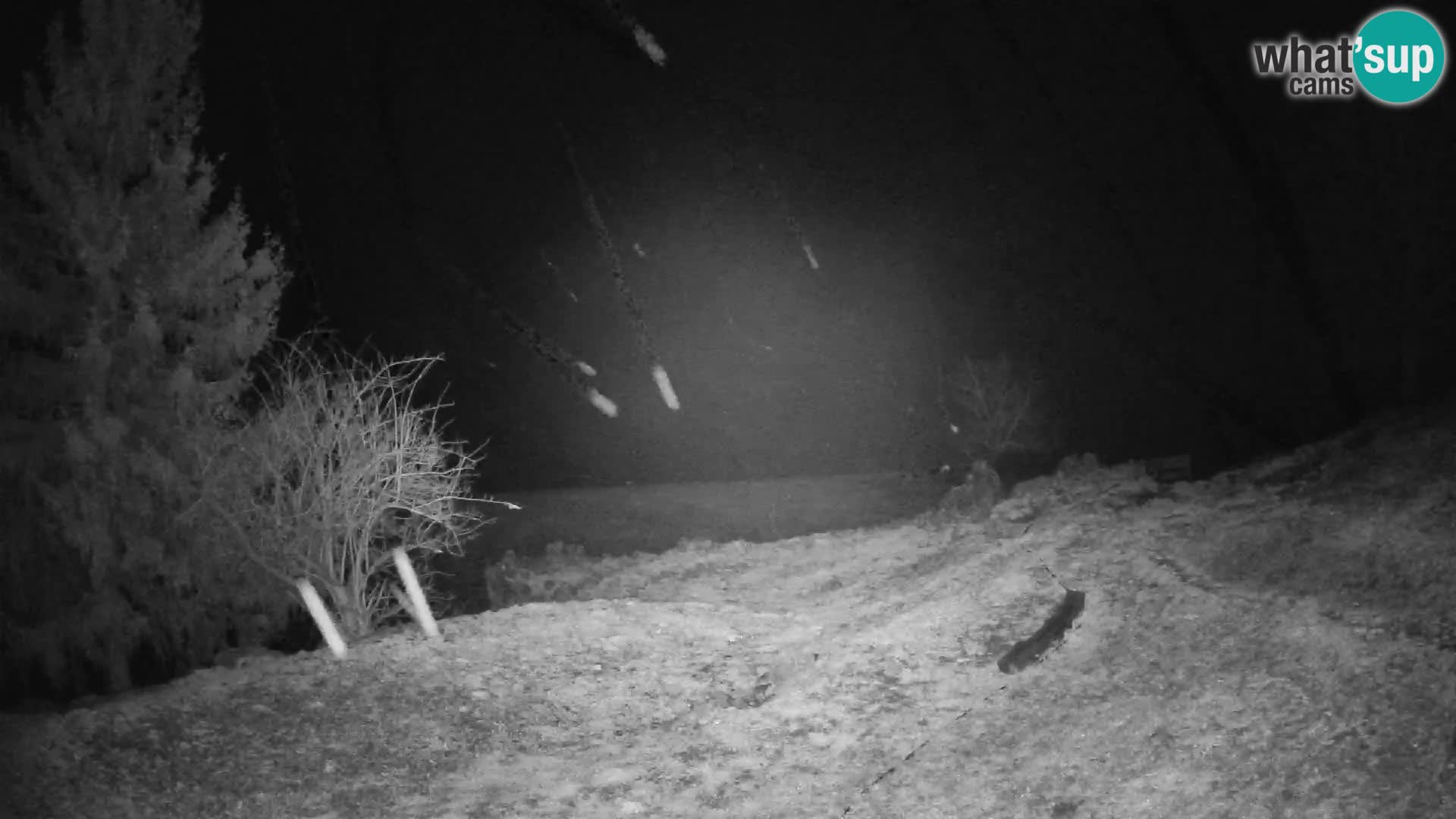 Slajka webcam | Gorenja Vas | Slowenien