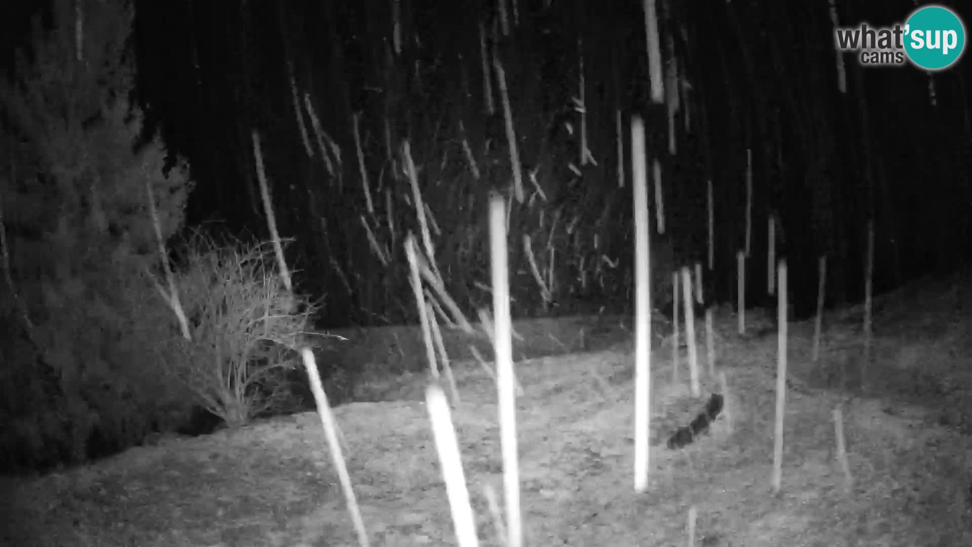 Slajka web kamera | Gorenja Vas | Slovenija