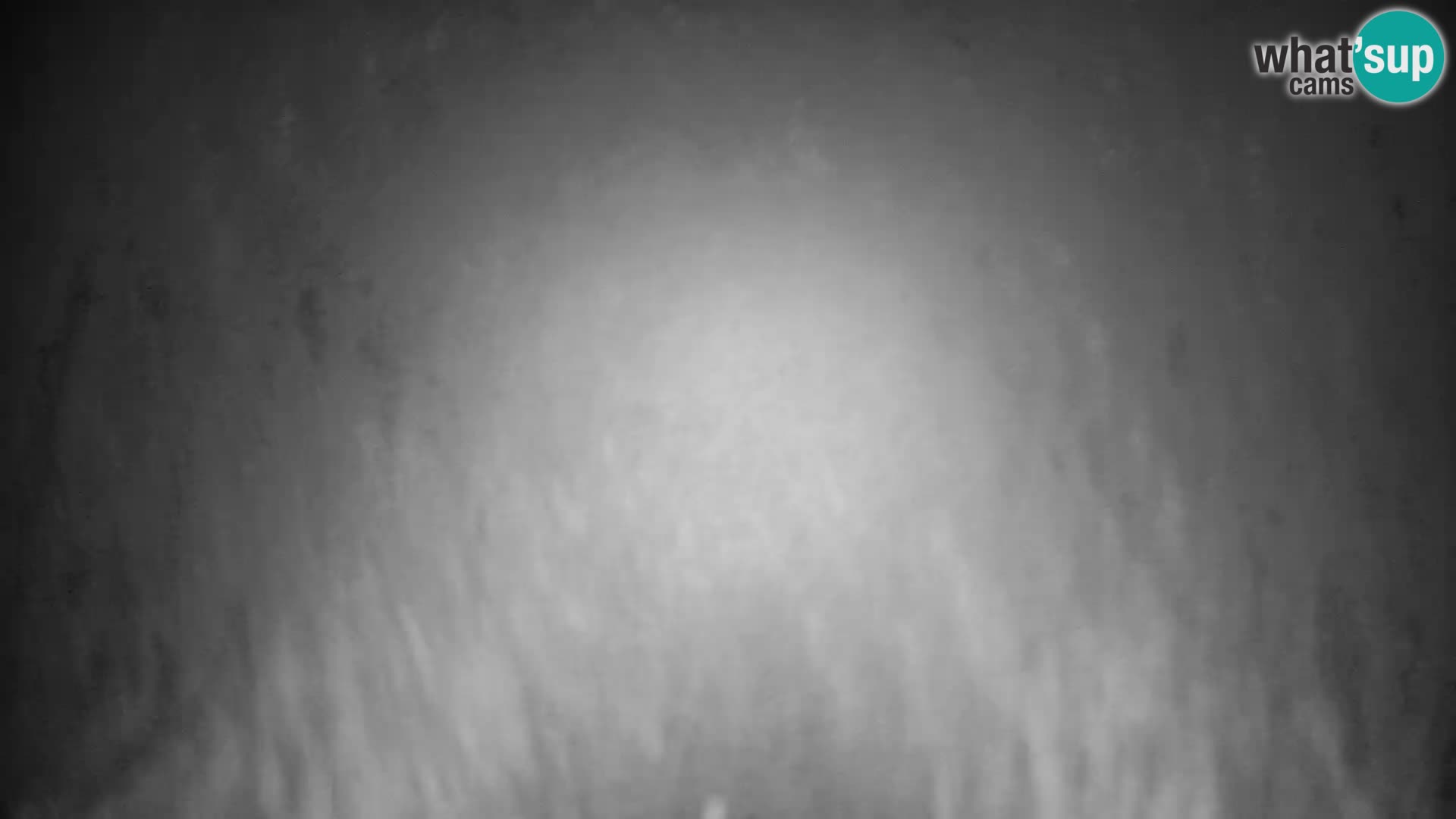 Slajka camera en vivo | Gorenja Vas | Eslovenia