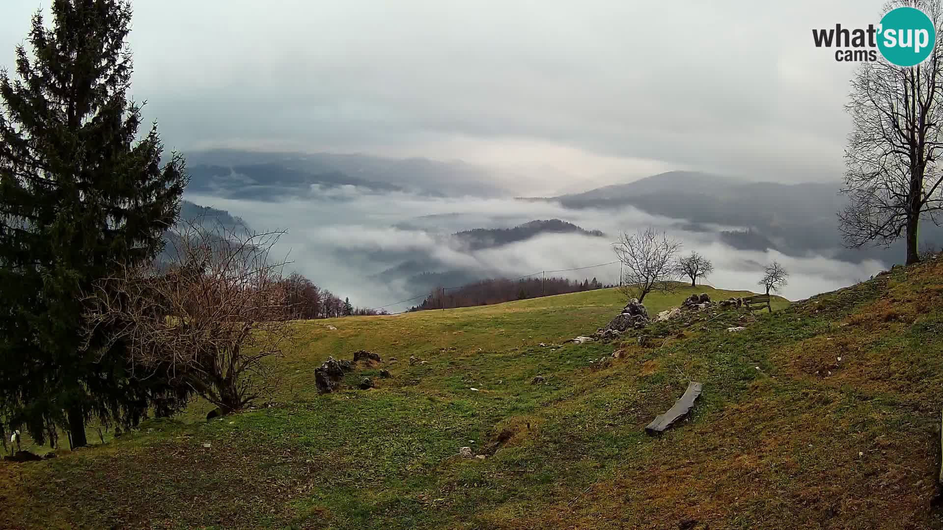 Slajka webam | Gorenja vas | Slovenia