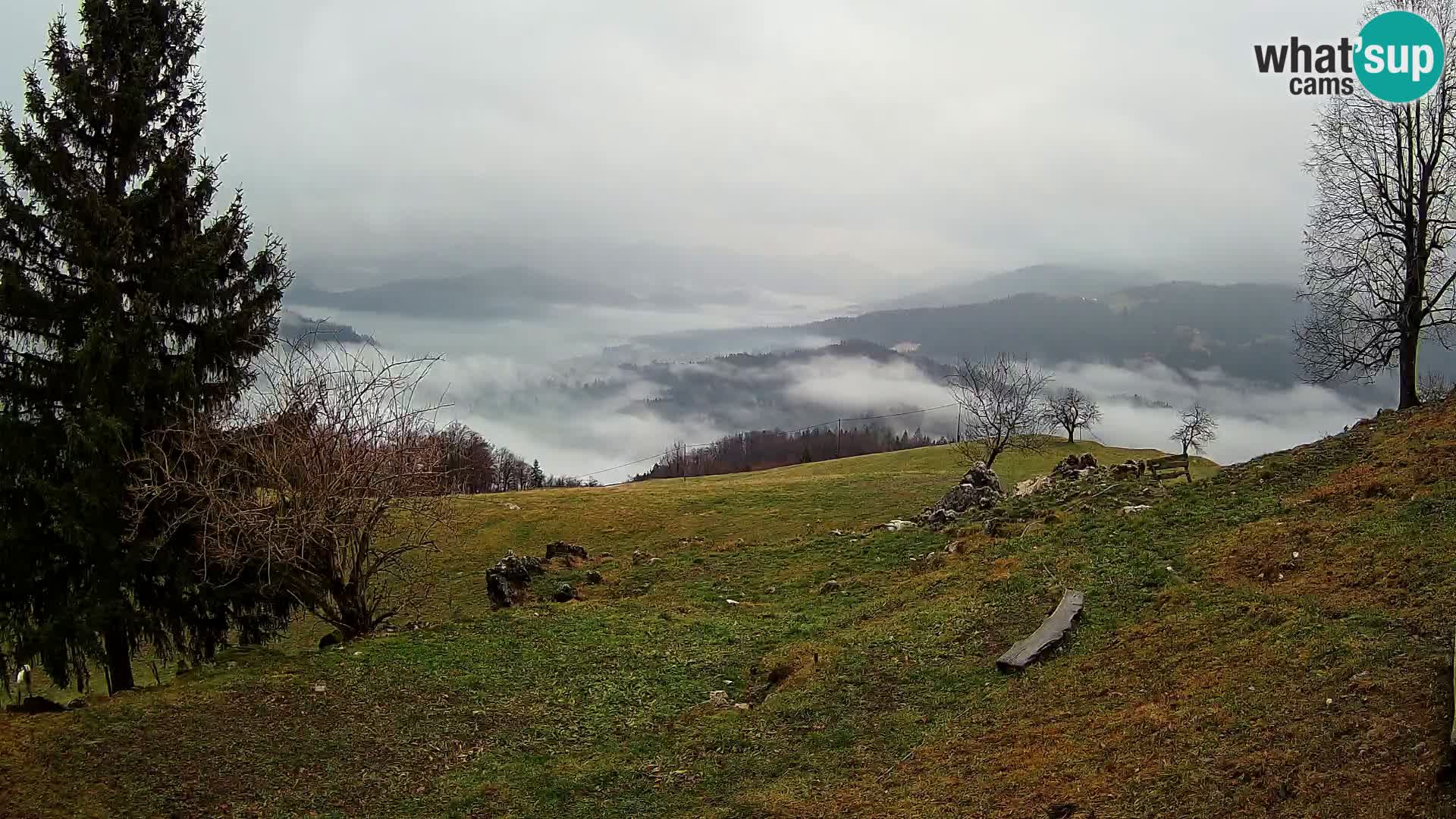 Slajka webam | Gorenja vas | Slovenia
