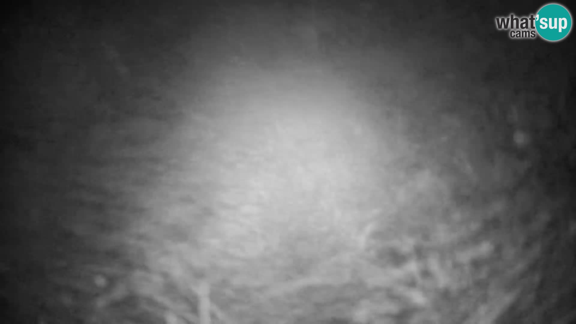 Slajka camera en vivo | Gorenja Vas | Eslovenia