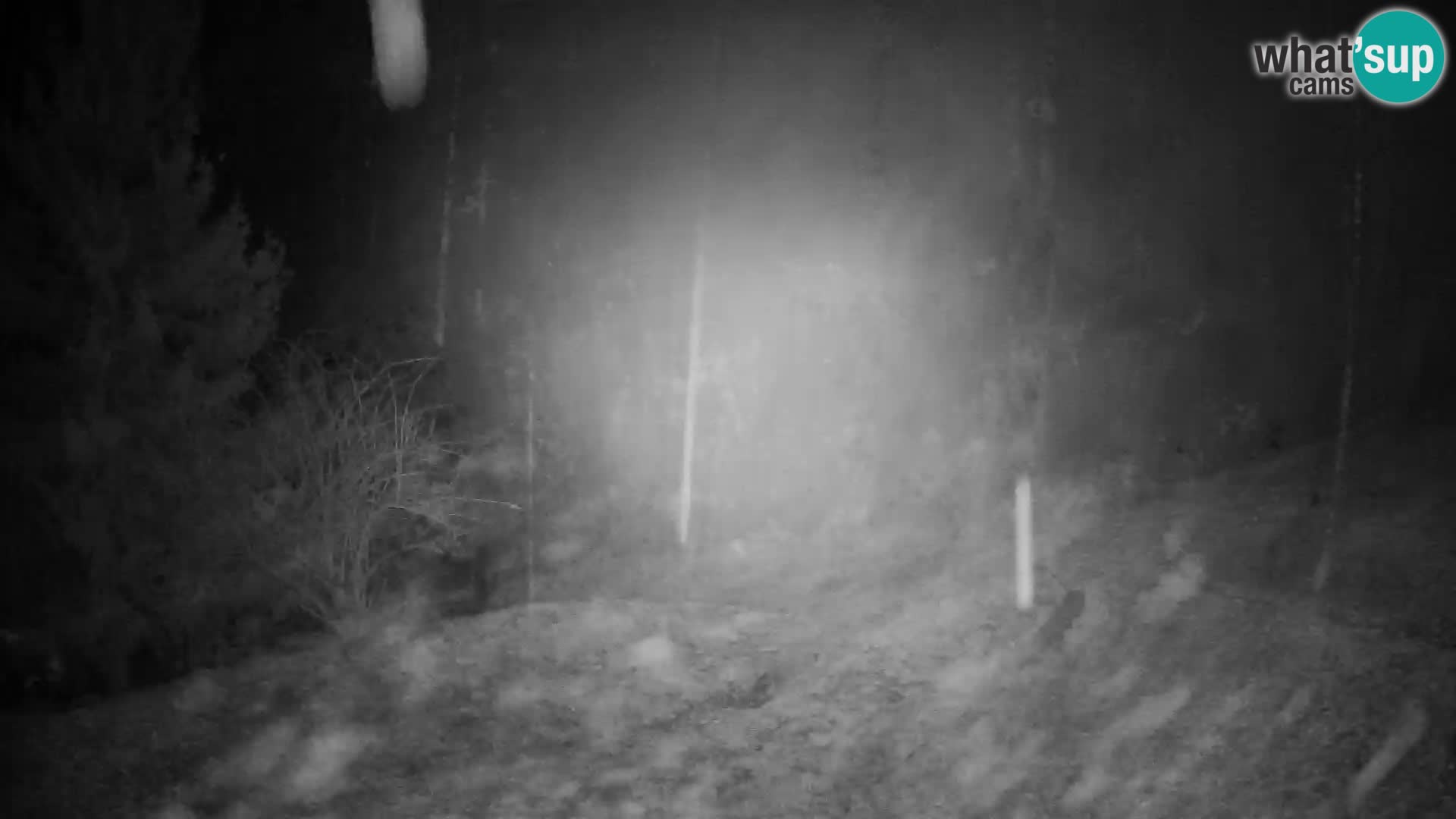 Slajka livecam | Gorenja Vas | Slovénie