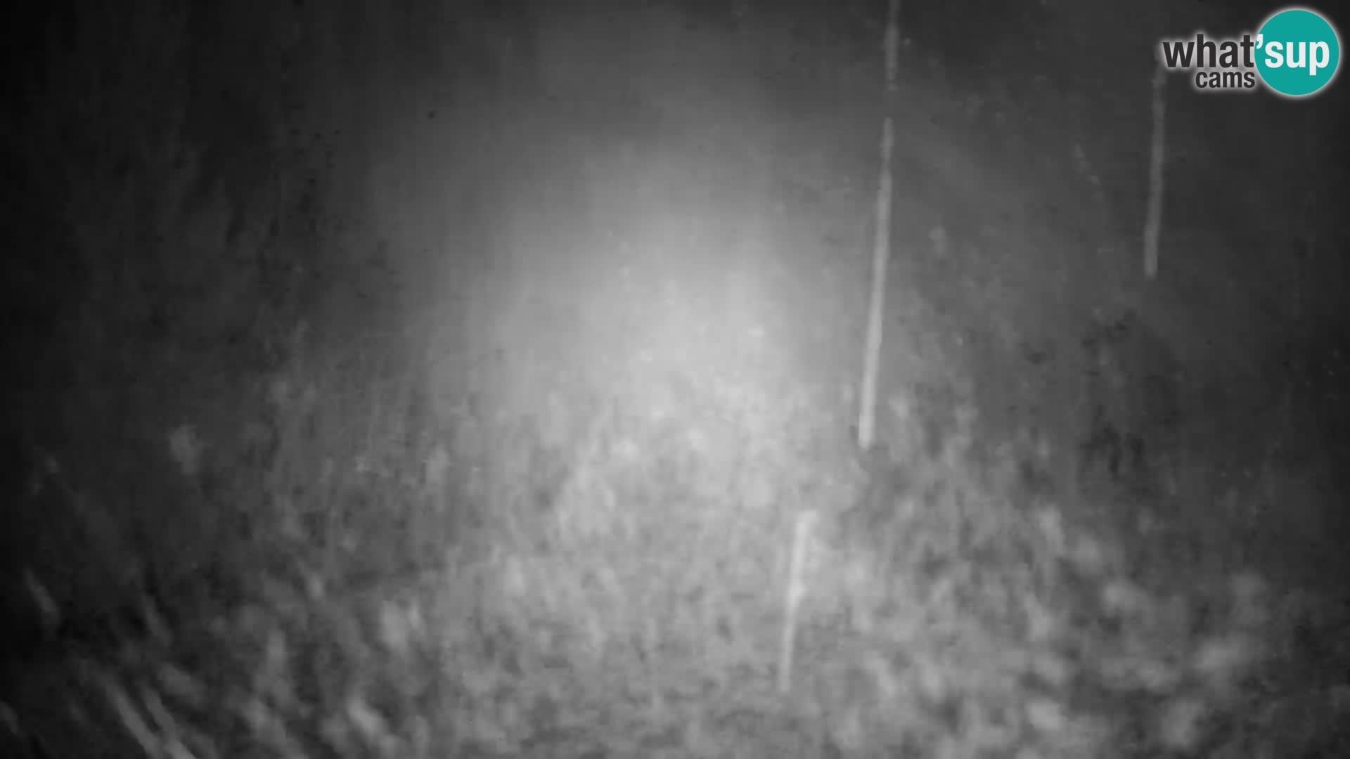 Slajka webcam | Gorenja Vas | Slowenien