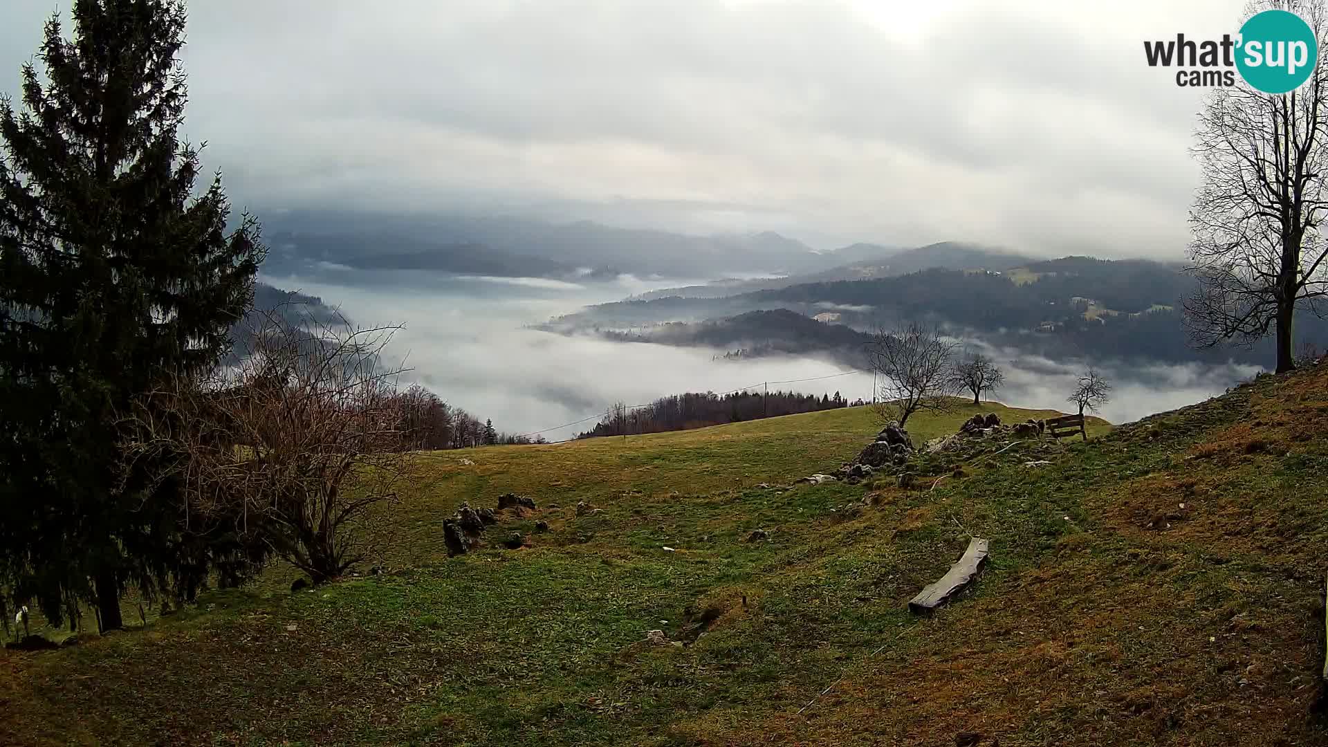 Slajka webcam | Gorenja Vas | Slowenien