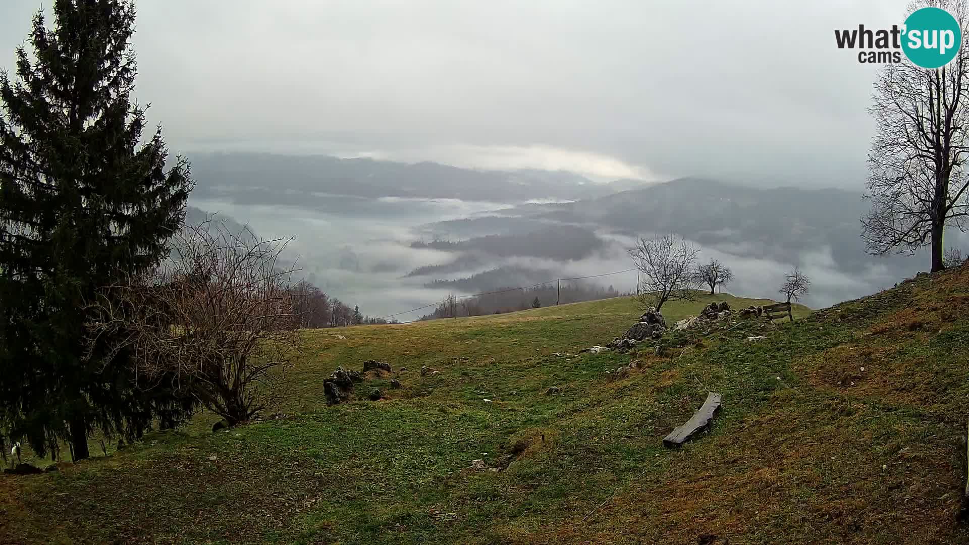 Slajka camera en vivo | Gorenja Vas | Eslovenia