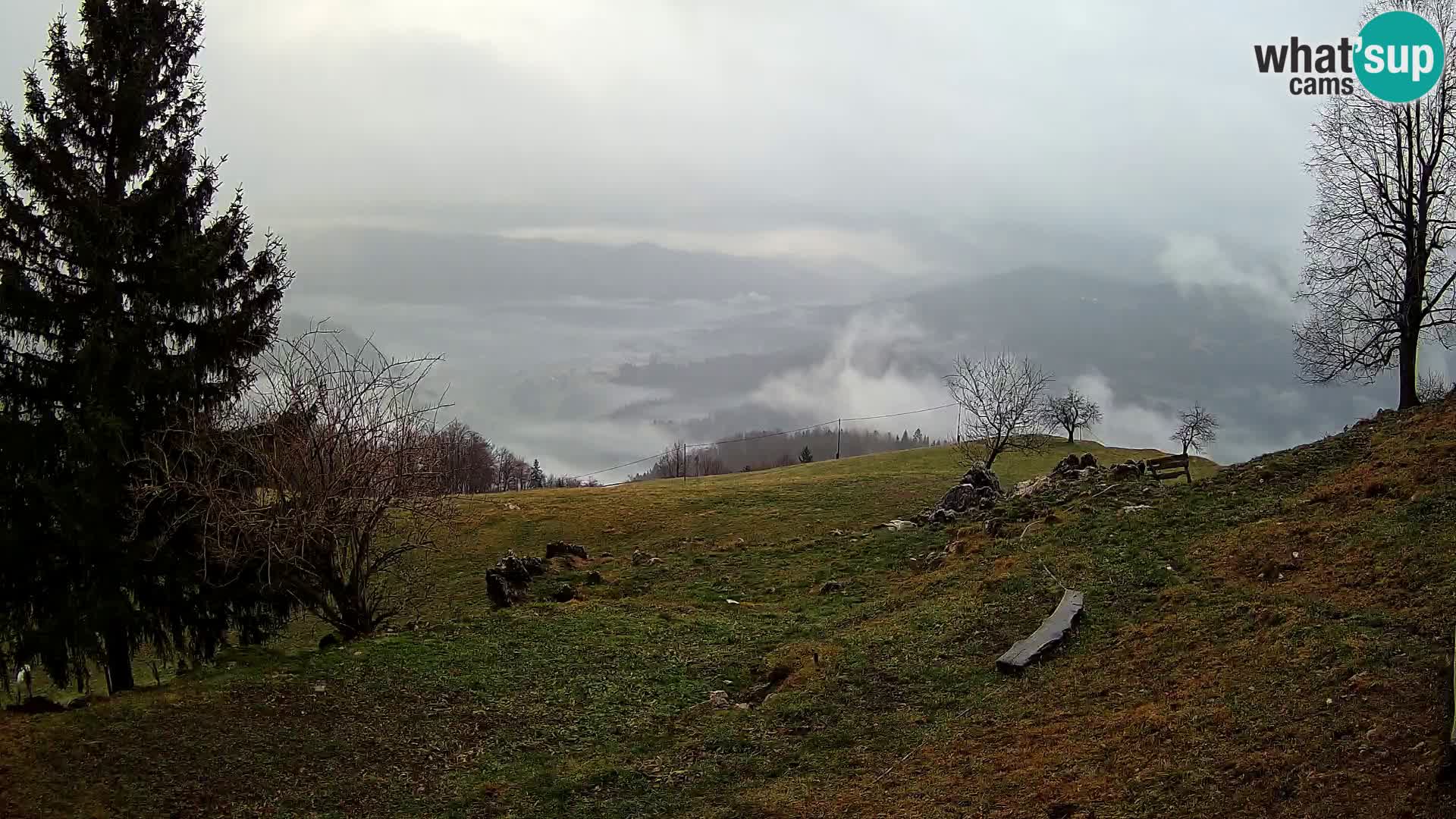 Slajka web kamera | Gorenja Vas | Slovenija