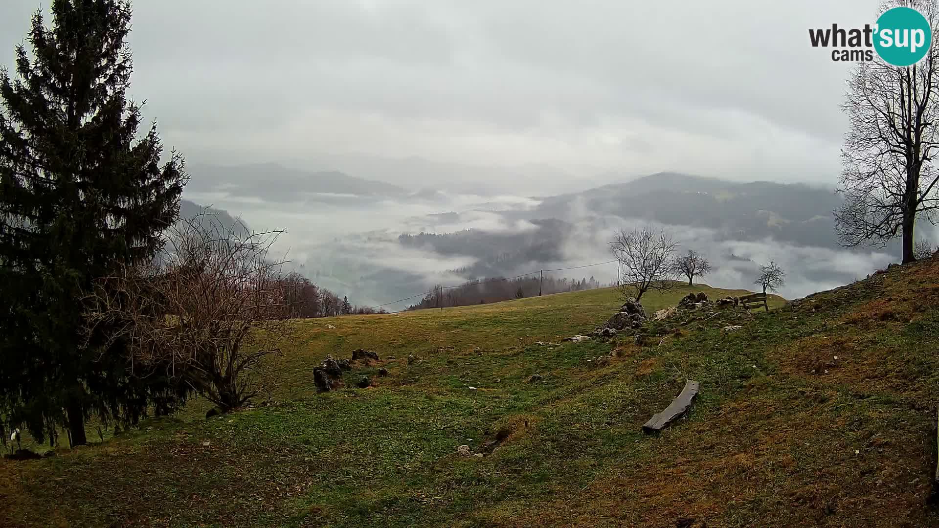 Slajka web kamera | Gorenja Vas | Slovenija