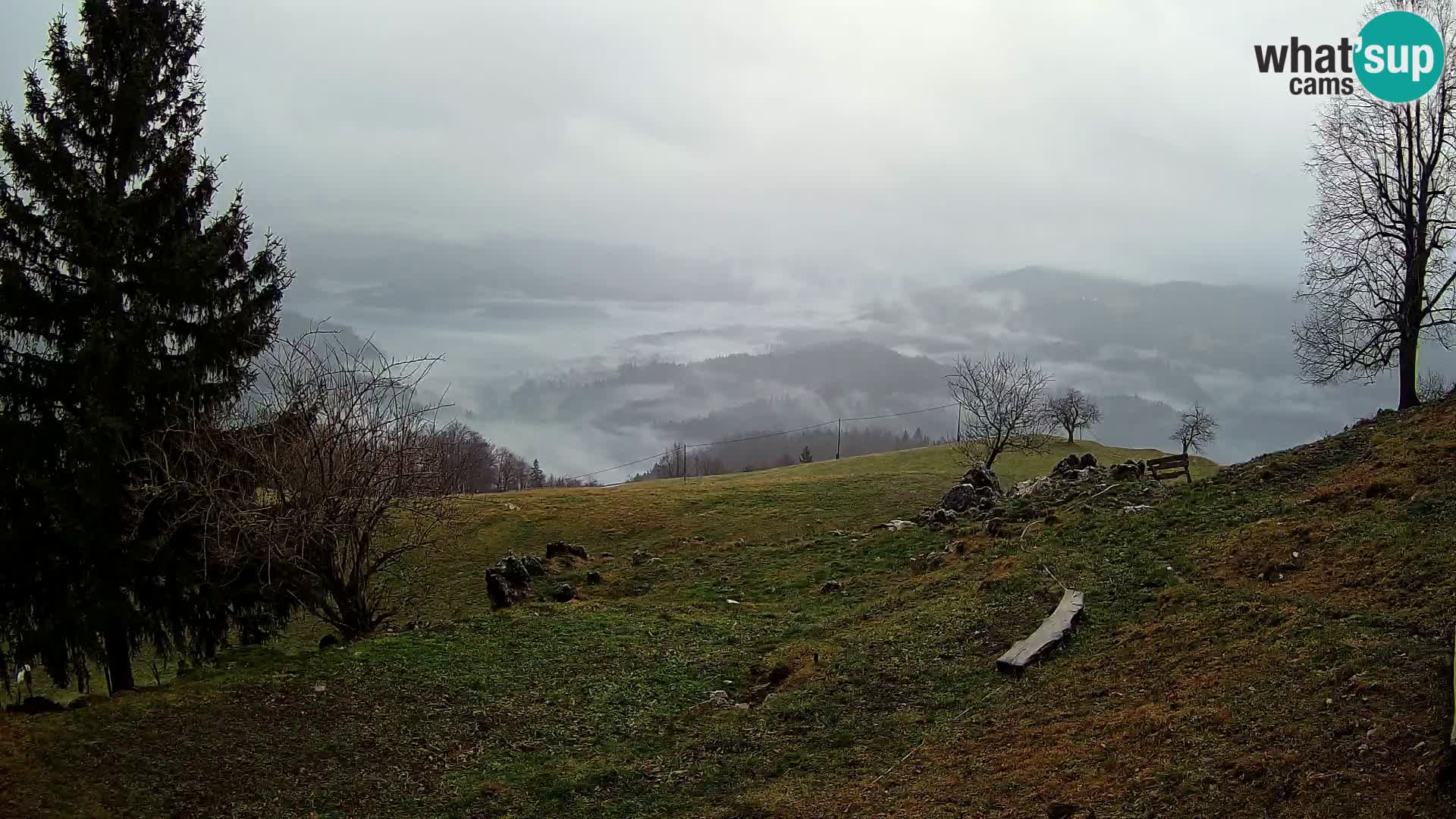 Slajka camera en vivo | Gorenja Vas | Eslovenia