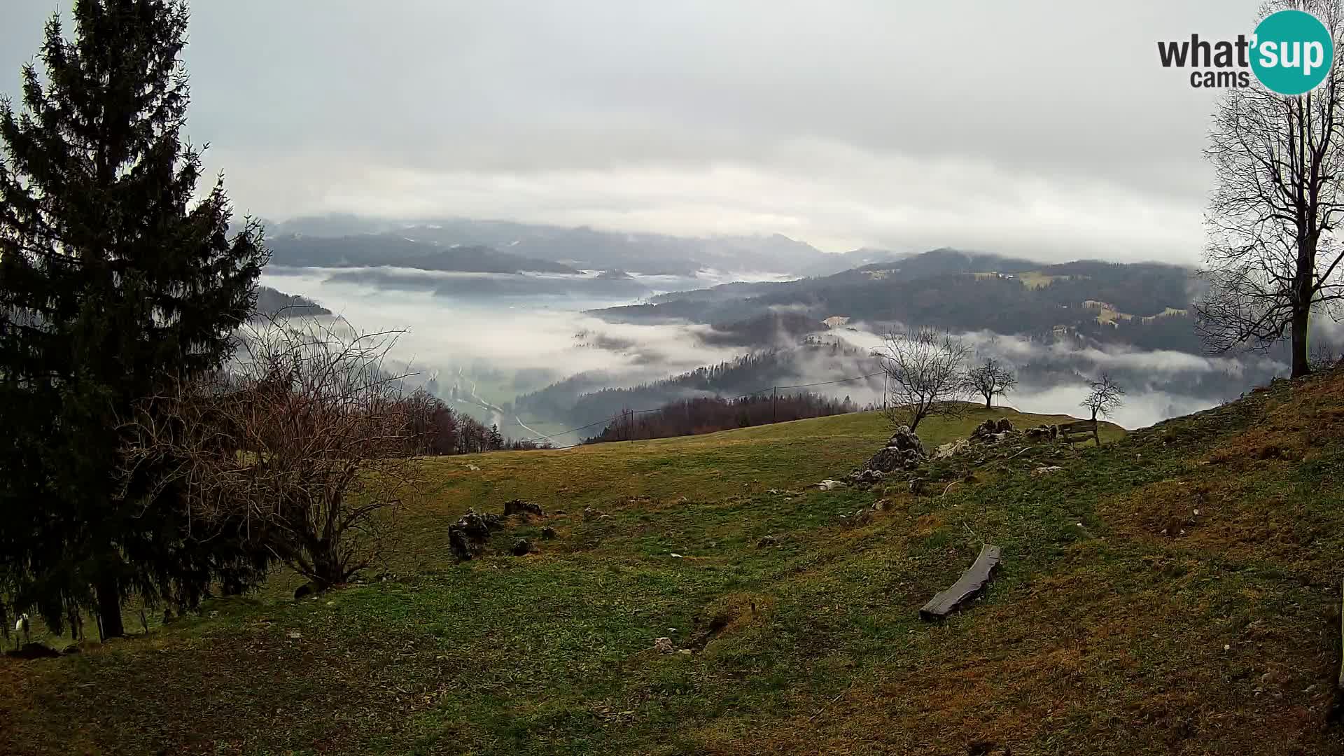 Slajka webam | Gorenja vas | Slovenia