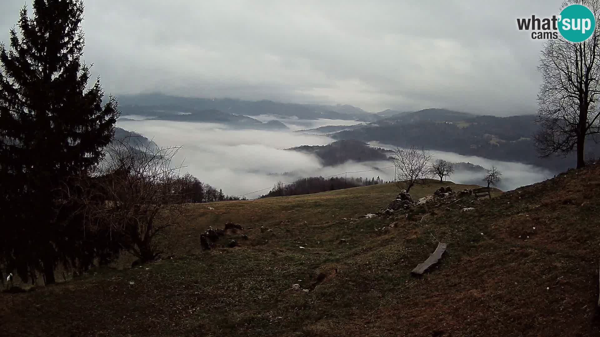 Slajka webcam | Gorenja Vas | Slowenien