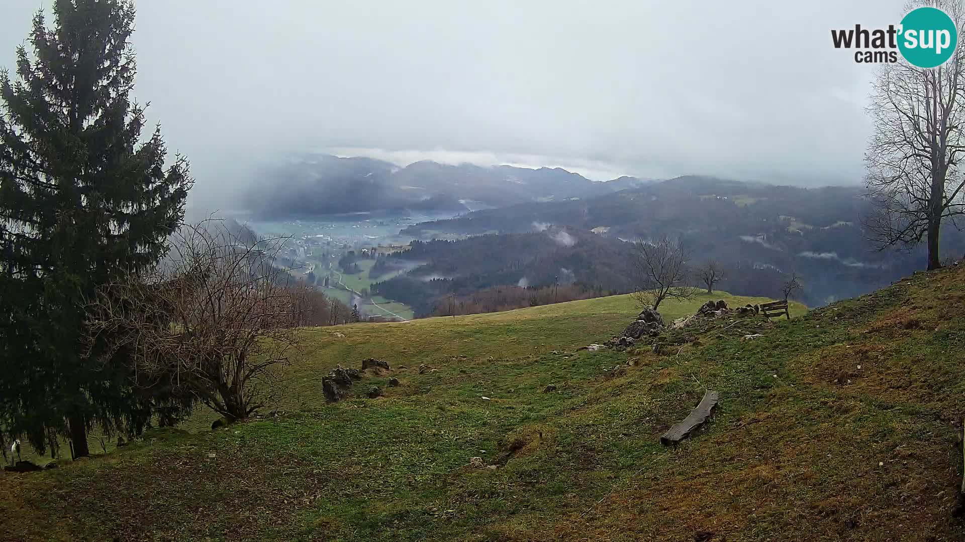 Slajka camera en vivo | Gorenja Vas | Eslovenia