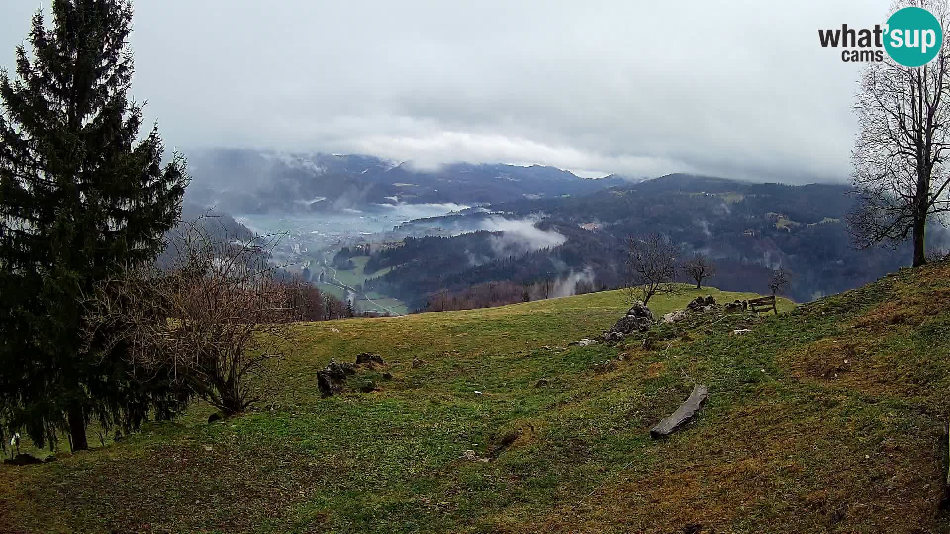 Slajka camera en vivo | Gorenja Vas | Eslovenia