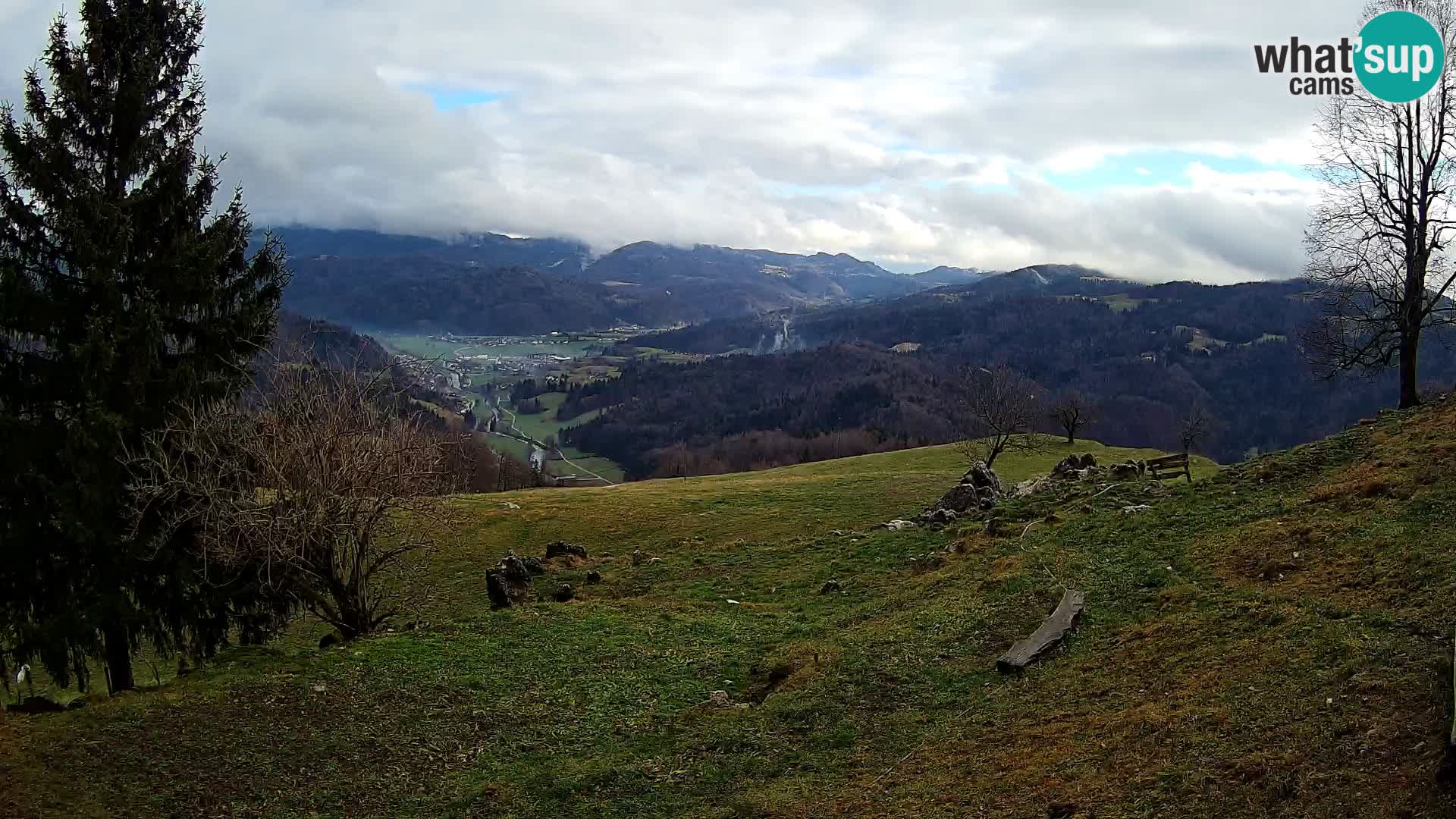 Slajka camera en vivo | Gorenja Vas | Eslovenia